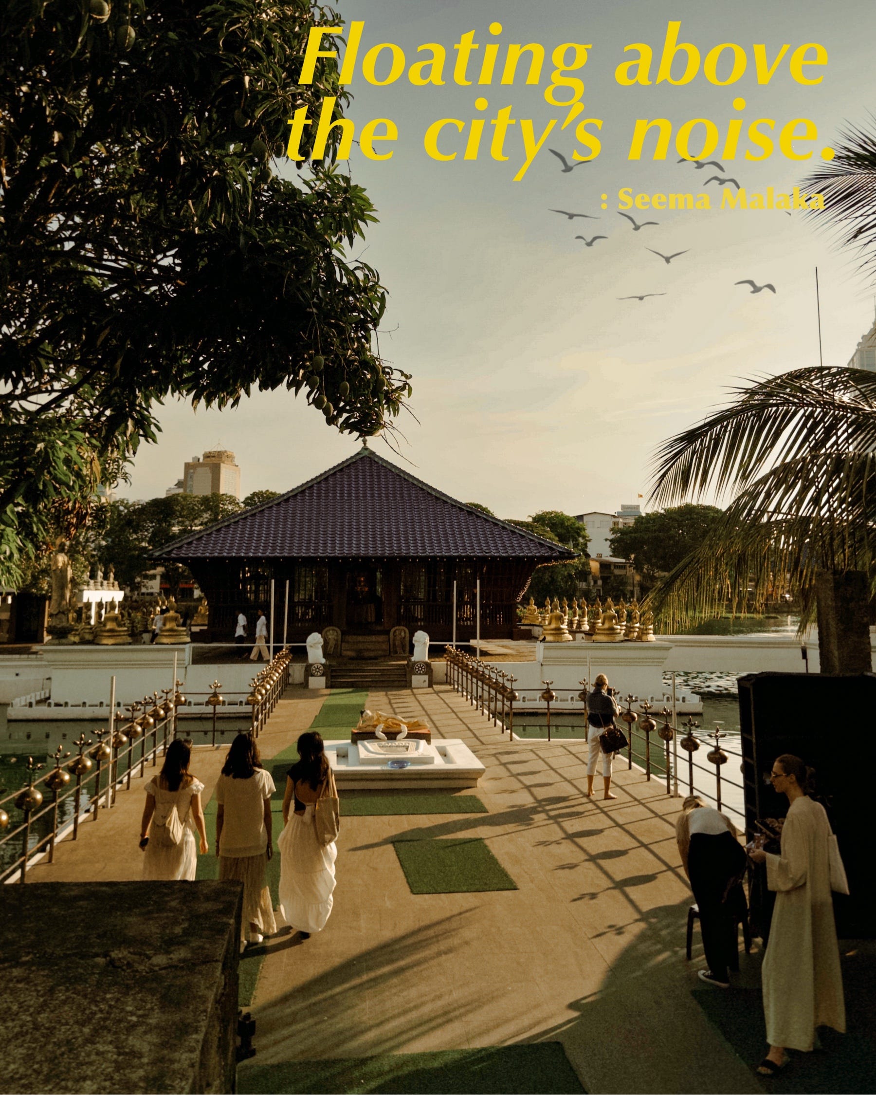 Floating on Silence : How Seema Malaka Dissolves the City’s Weight