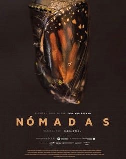 Monarch butterfly in final stage of chrysalis on cover of Nomadas film poster