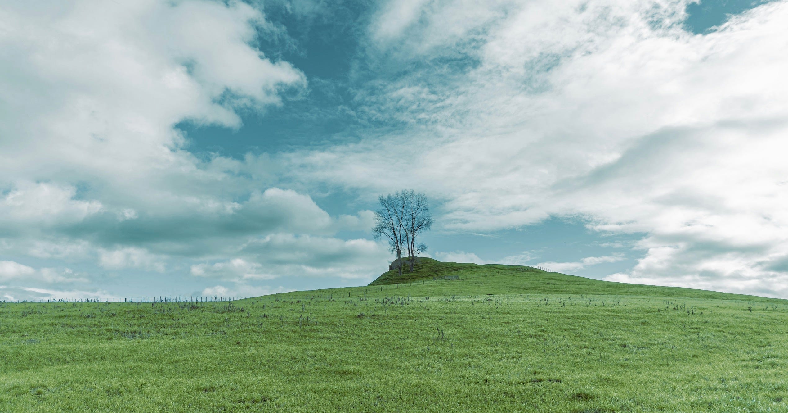 This Quick Buddha Quote Could Guide Your Entire Life