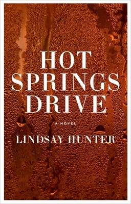 PDF Hot Springs Drive By Lindsay Hunter