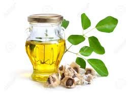 moringa oil benefits and uses