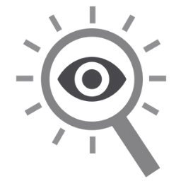 Illustration of a monochrome magnifying glass with surrounded by spokes. At the centre is an eye.