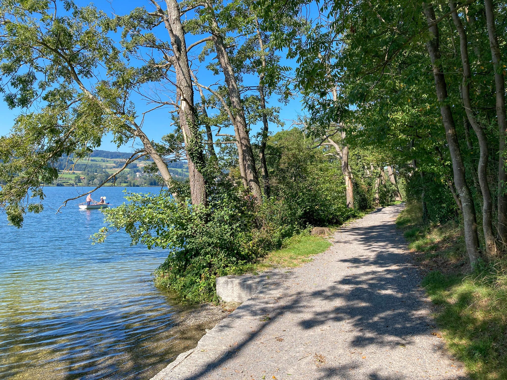 Tree-lined gravel path alongside a lake. 