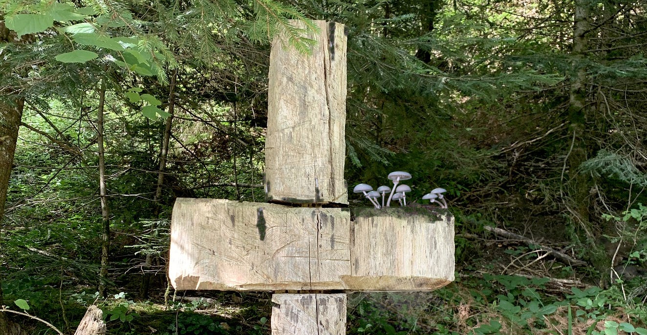 mushrooms on a cross