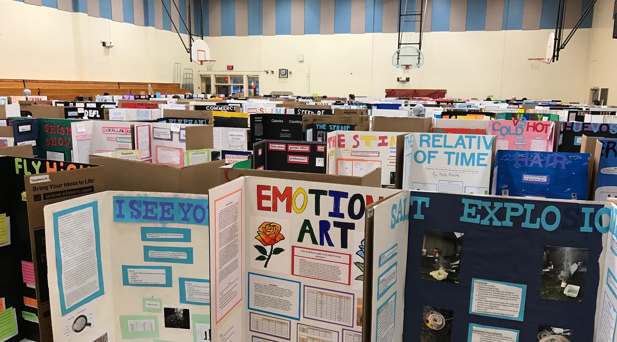 Middle School Science Fair Highlights