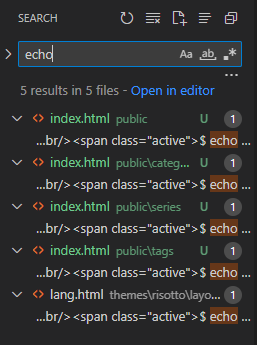 Screenshot of search results within a development environment, which shows five different results for the word “echo” found within the code base I’m working on.
