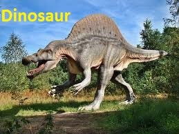 Dinosaur history, life, and interesting facts related to them