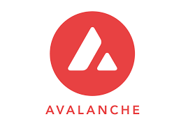 avalanche subnets