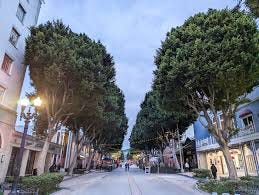 Greenleaf Street in Whittier, California. The street is lined up with trees.