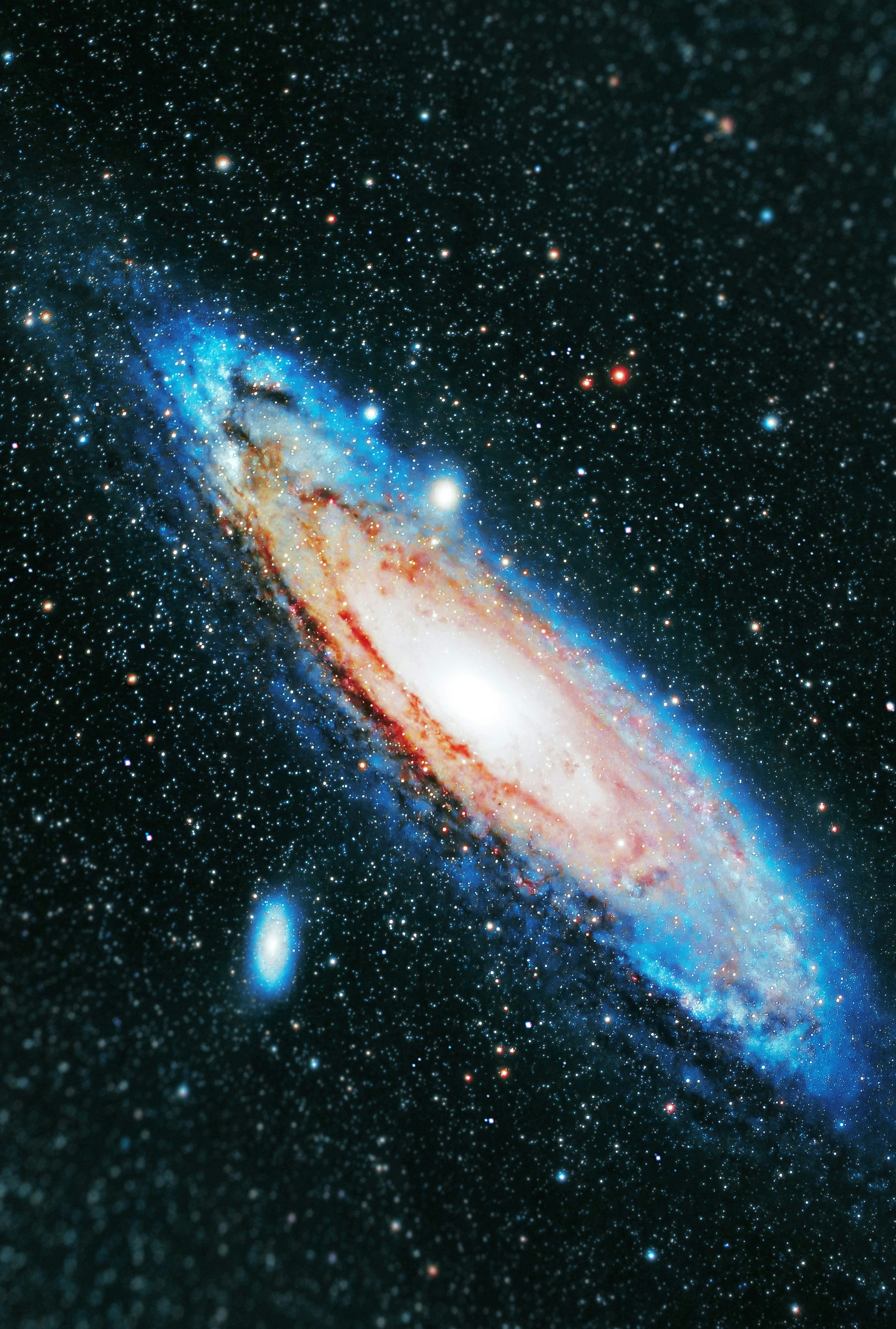 Classifying the Cosmos: How We Can Make Sense of the Celestial Landsca
