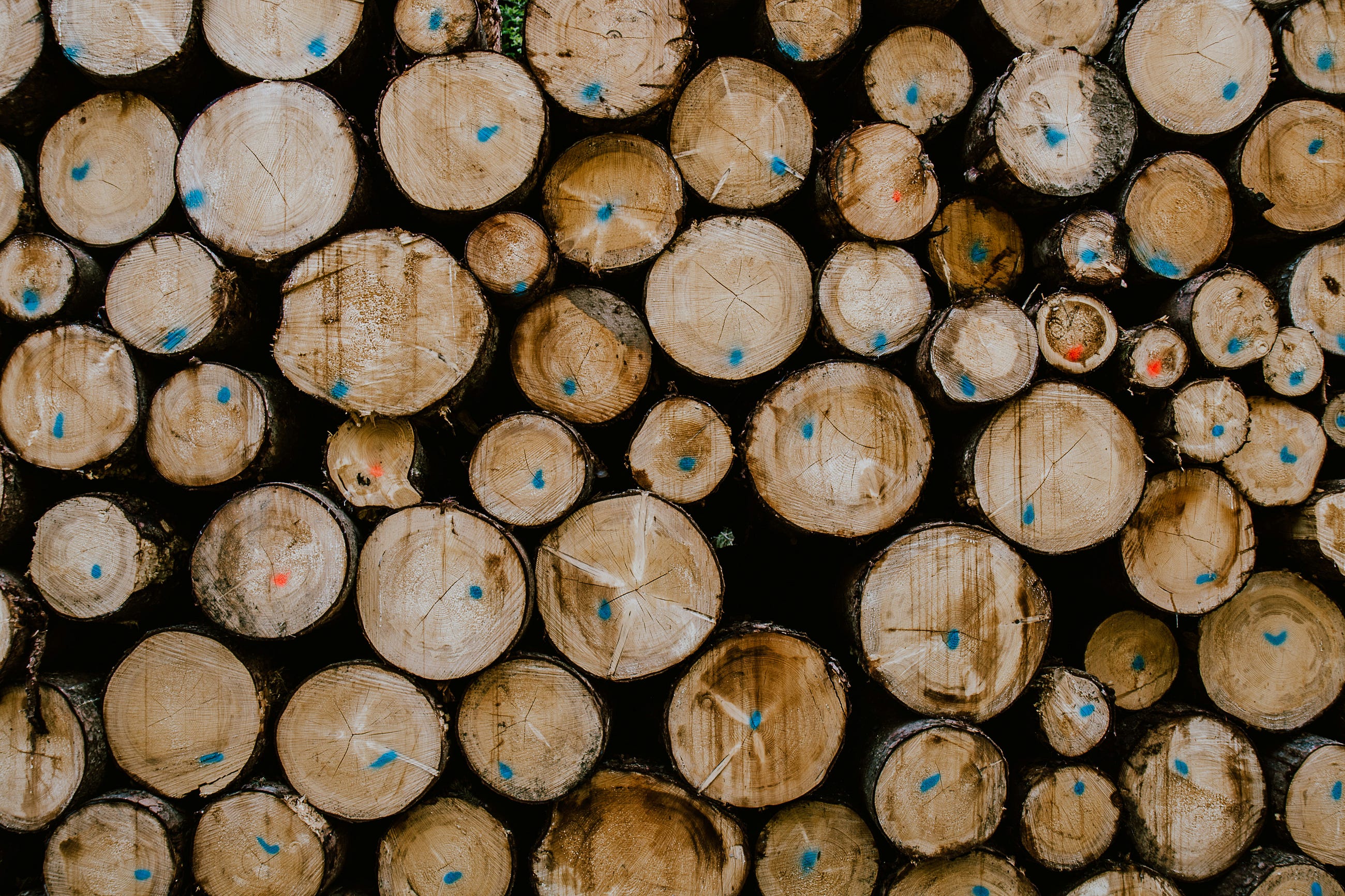 Please Use Git Worktree