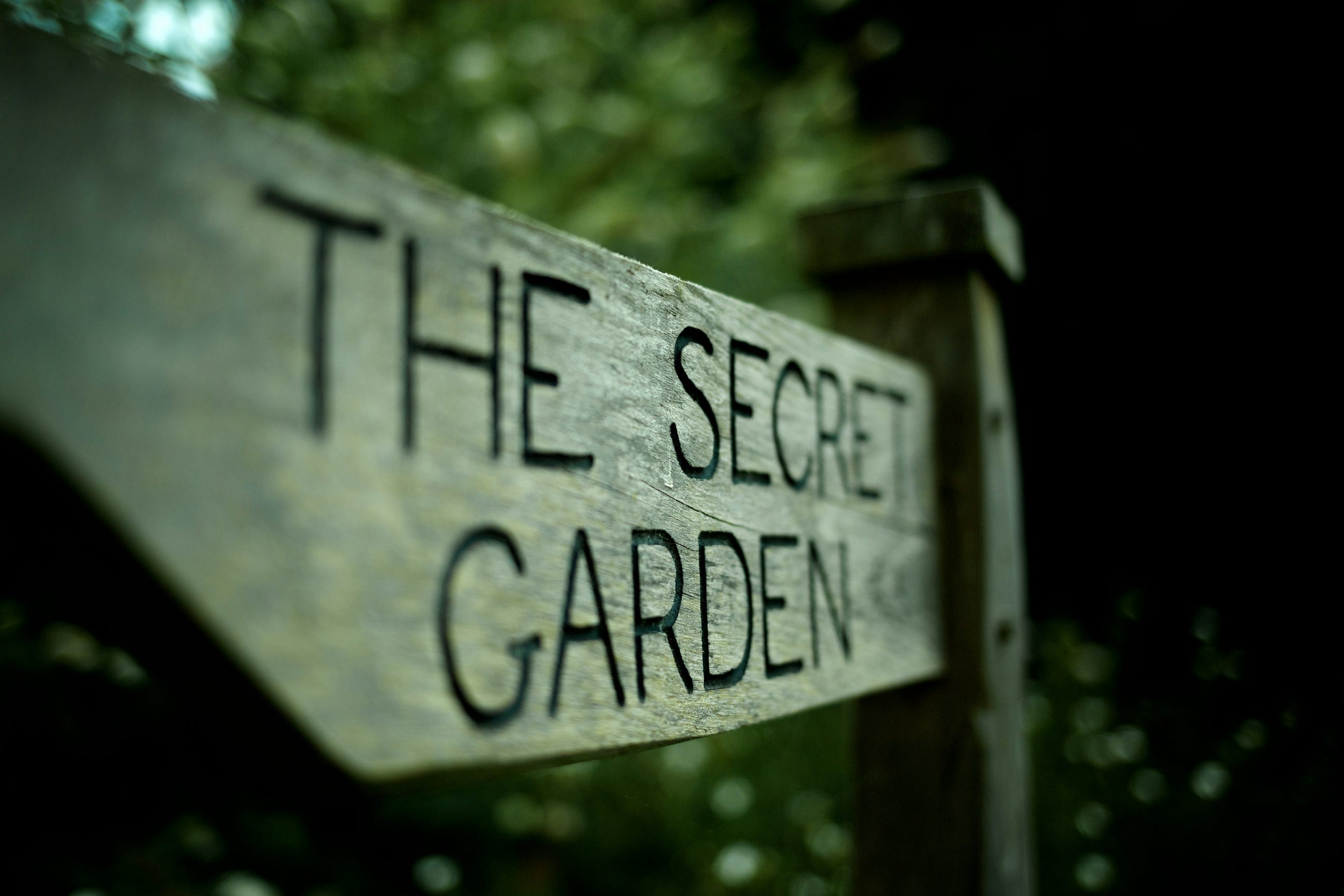 ChatGPT Led Me to a Secret Garden Behind the Library