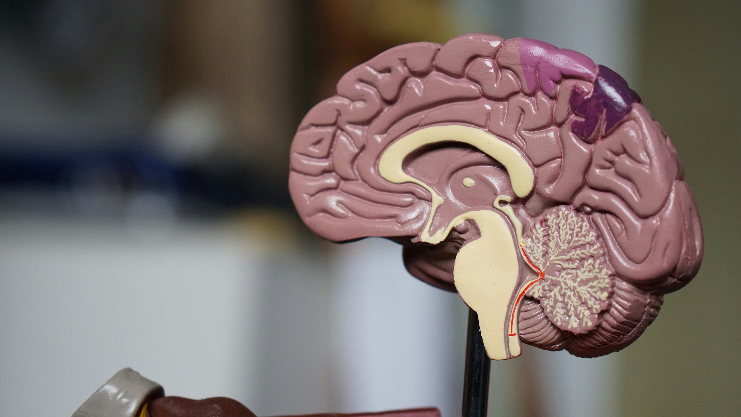 How to Hack Your Own Brain