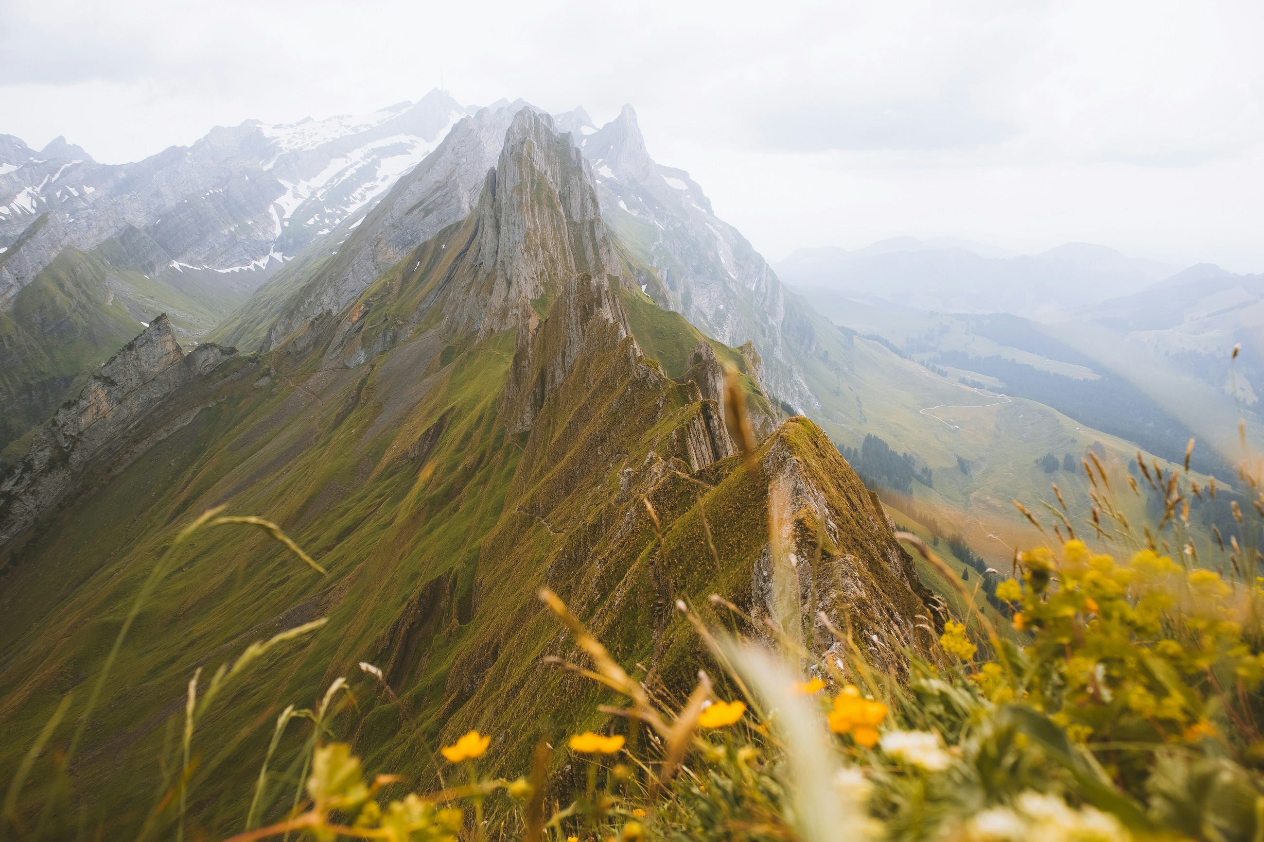 Photo by Dana Katharina on Unsplash
