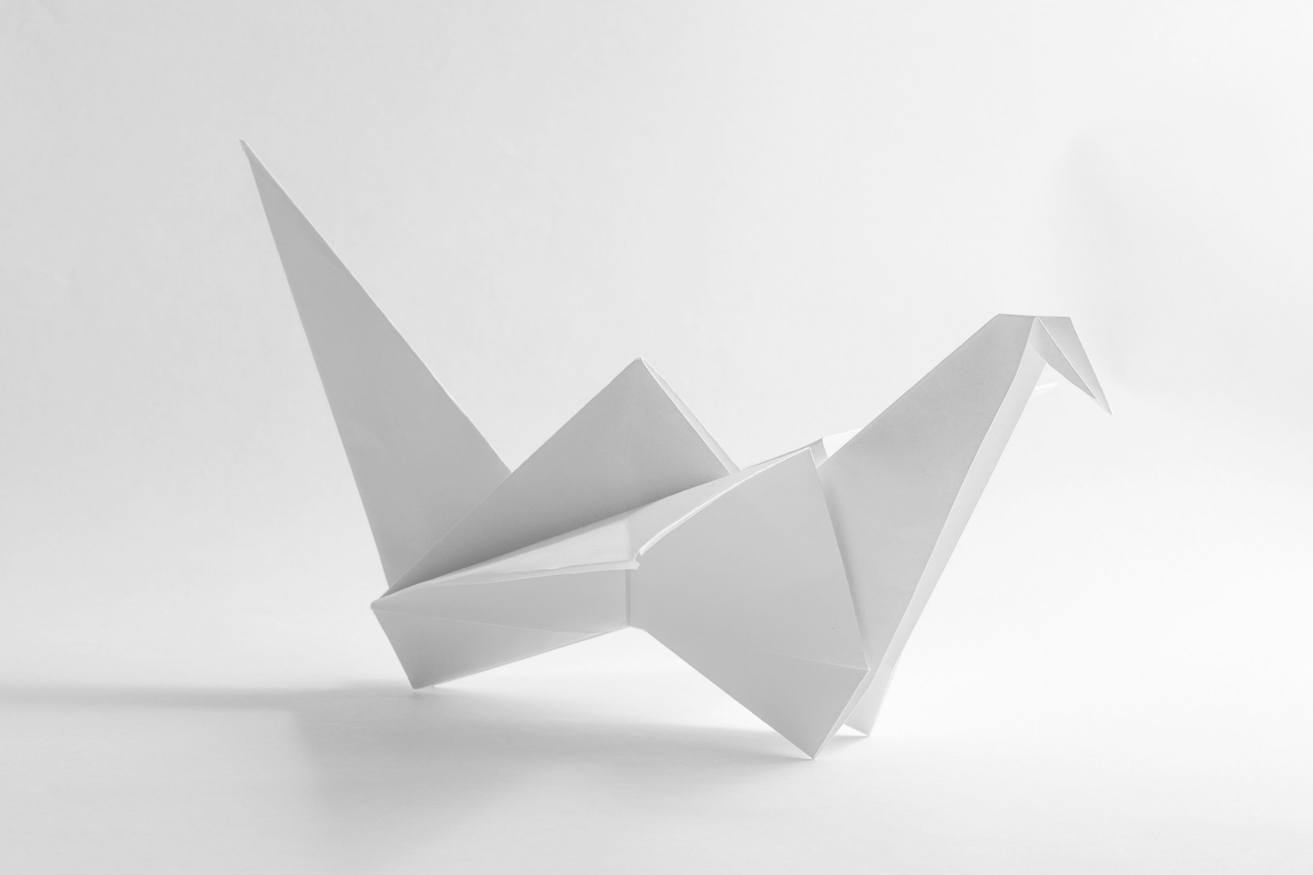 Phase Manifold Model
