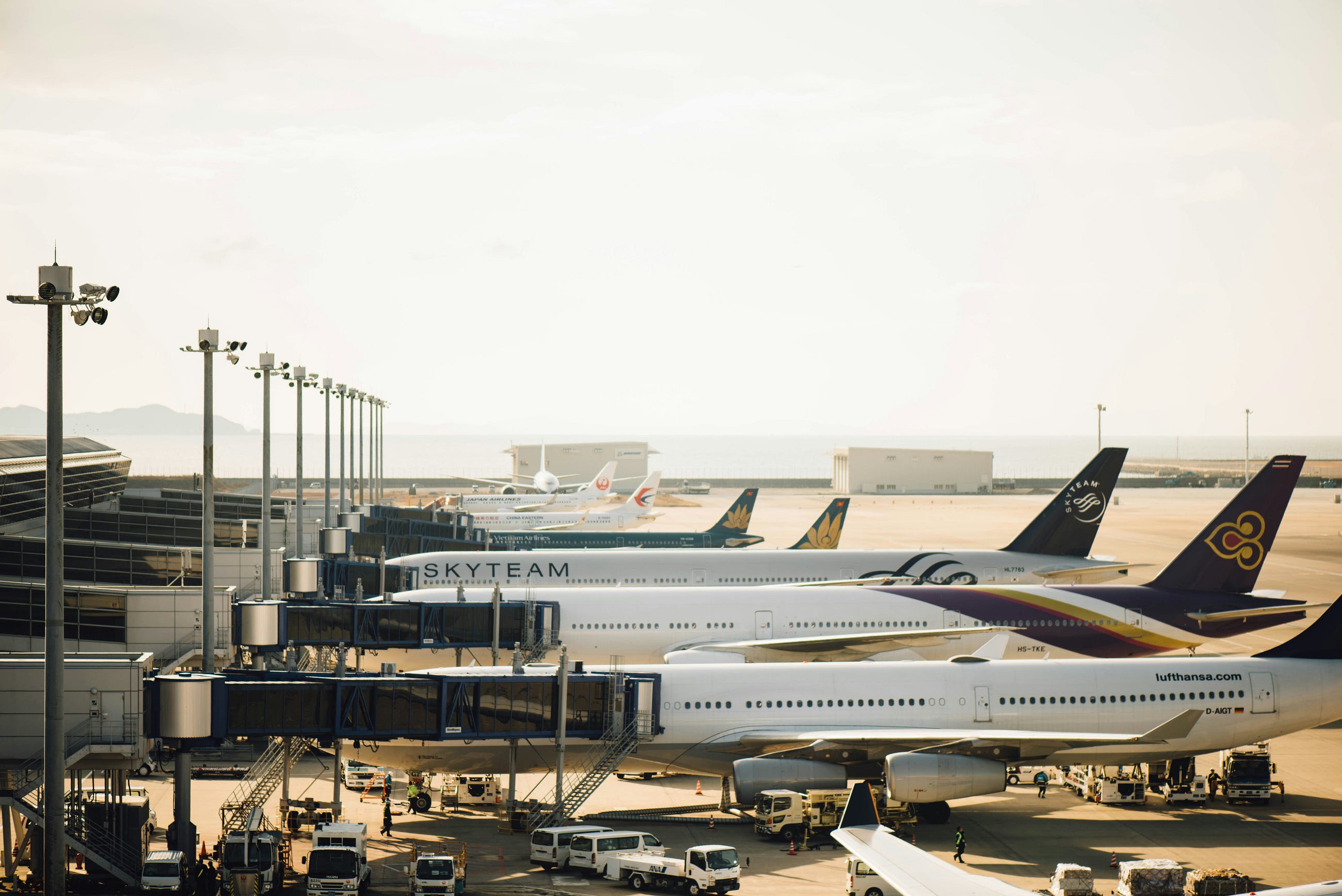 Economy Light: The Fare Class Designed to Humiliate You Into Spending