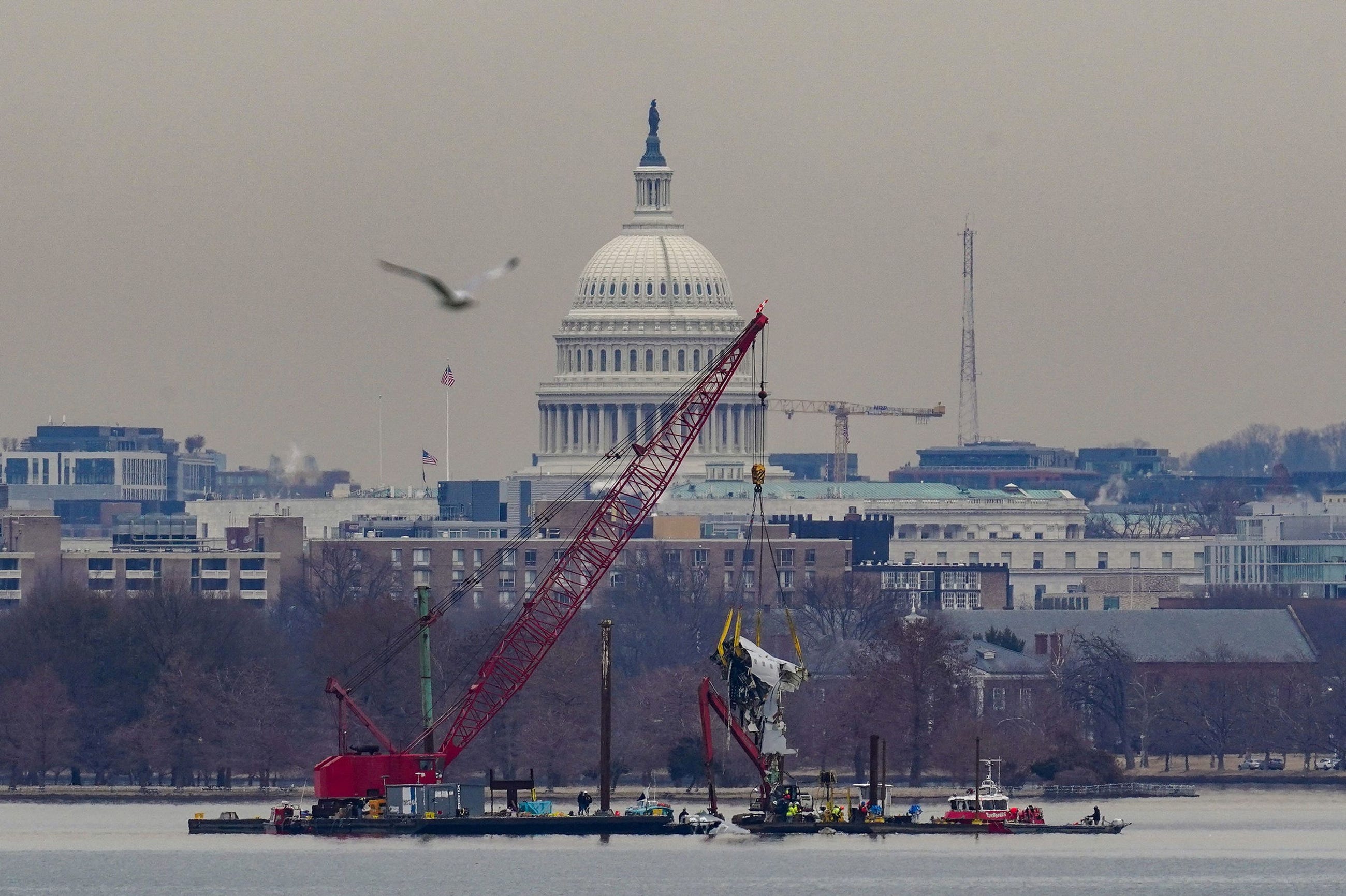Reaping the Whirlwind | Inside the Potomac River Midair Collision