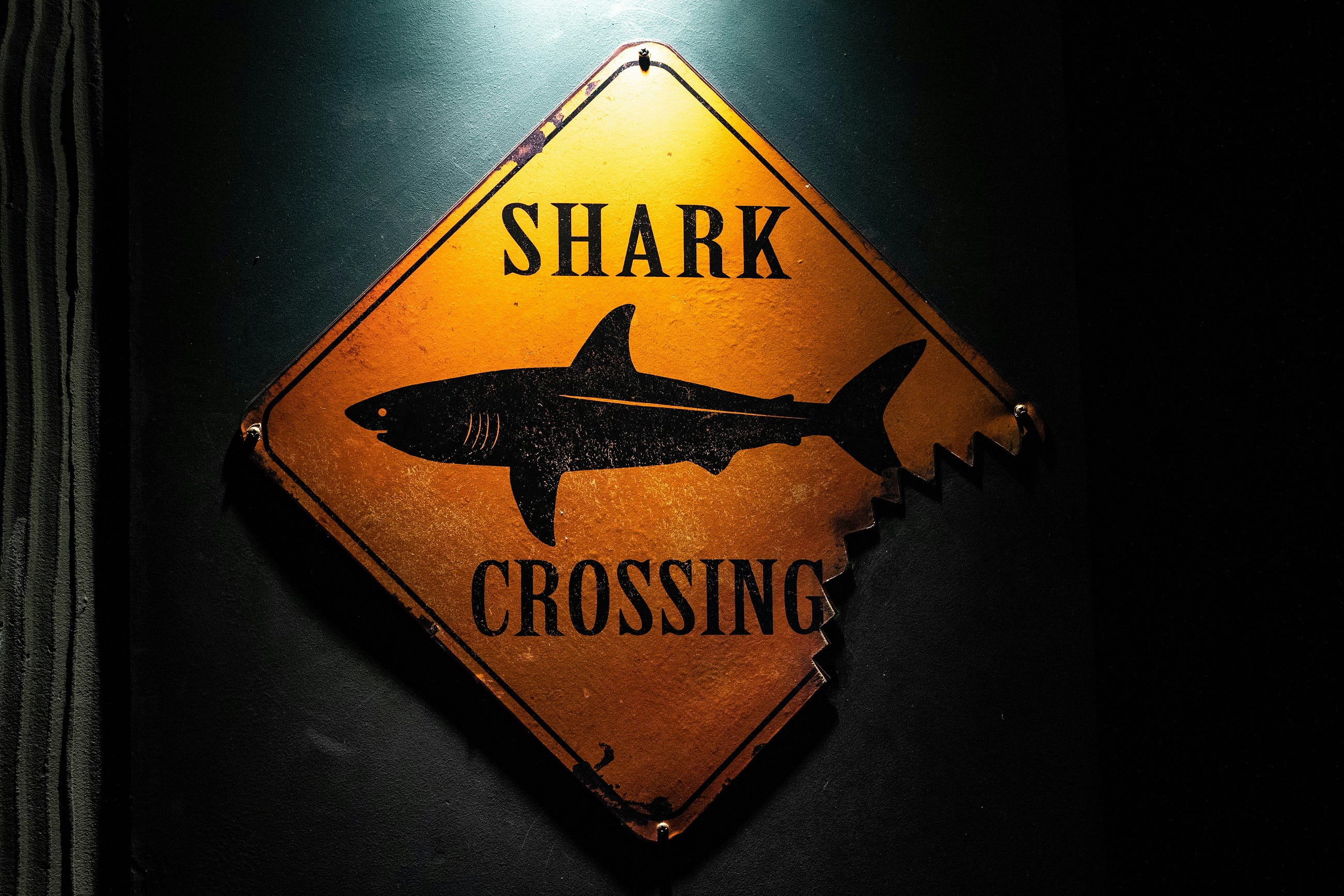 Learning Networks with Linux: Standard GUI network sniffer “wireshark”