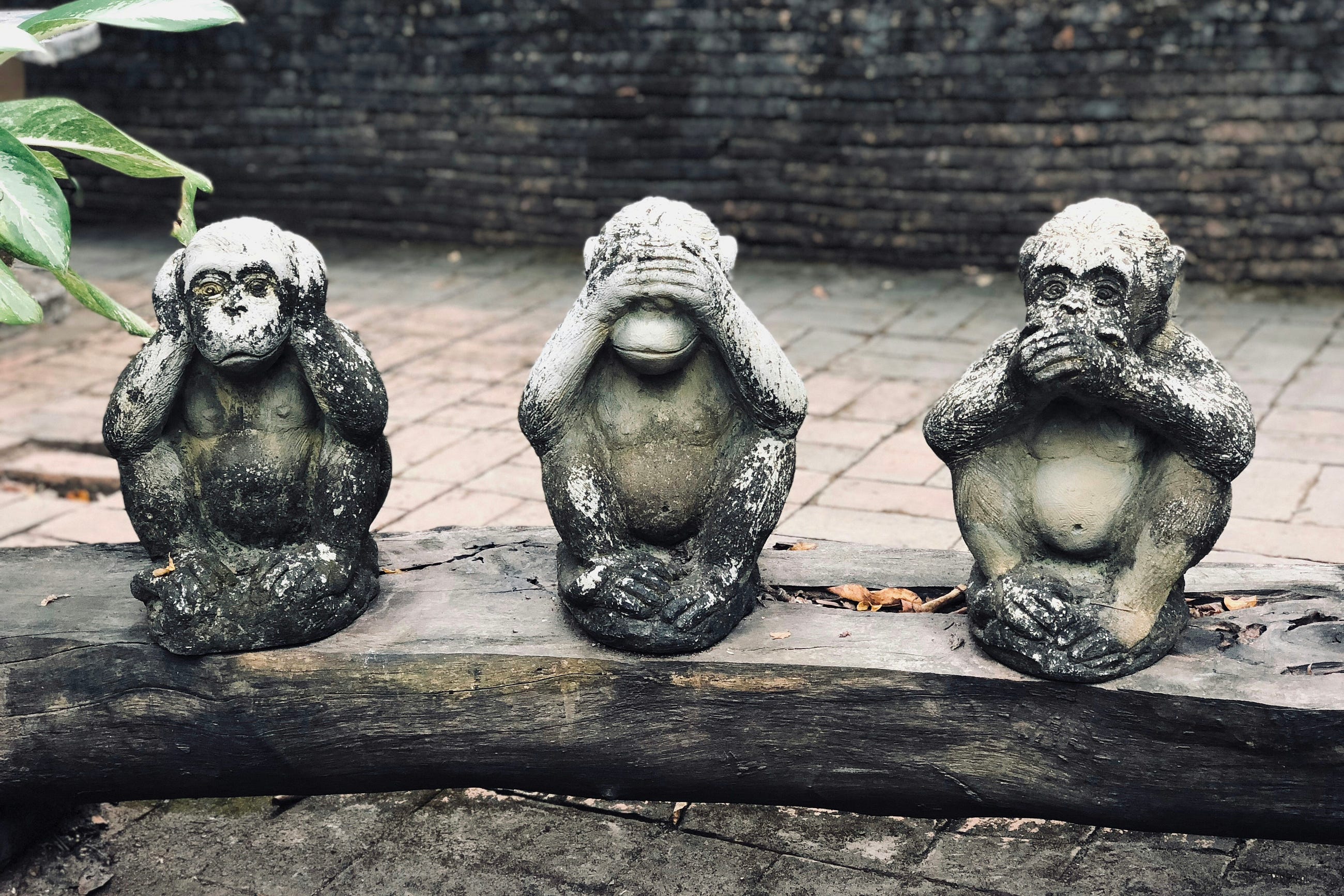 You Need Tacit Knowledge in The Competition with AI
