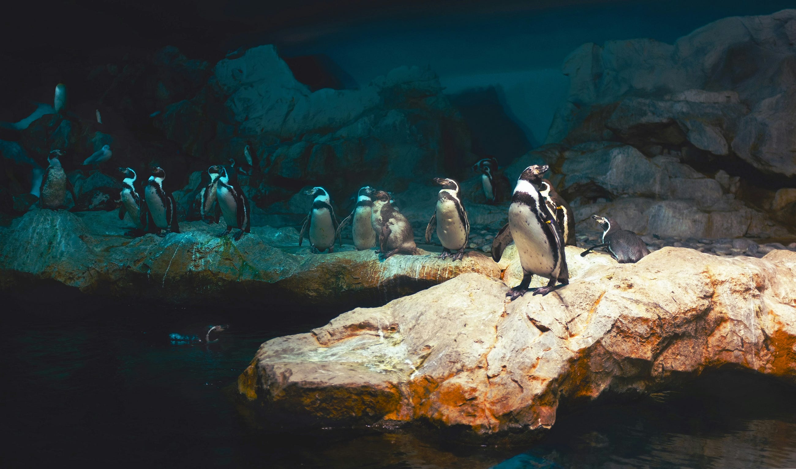 Something Broke in Linux? Here’s How to Find the Problem (Part 1)