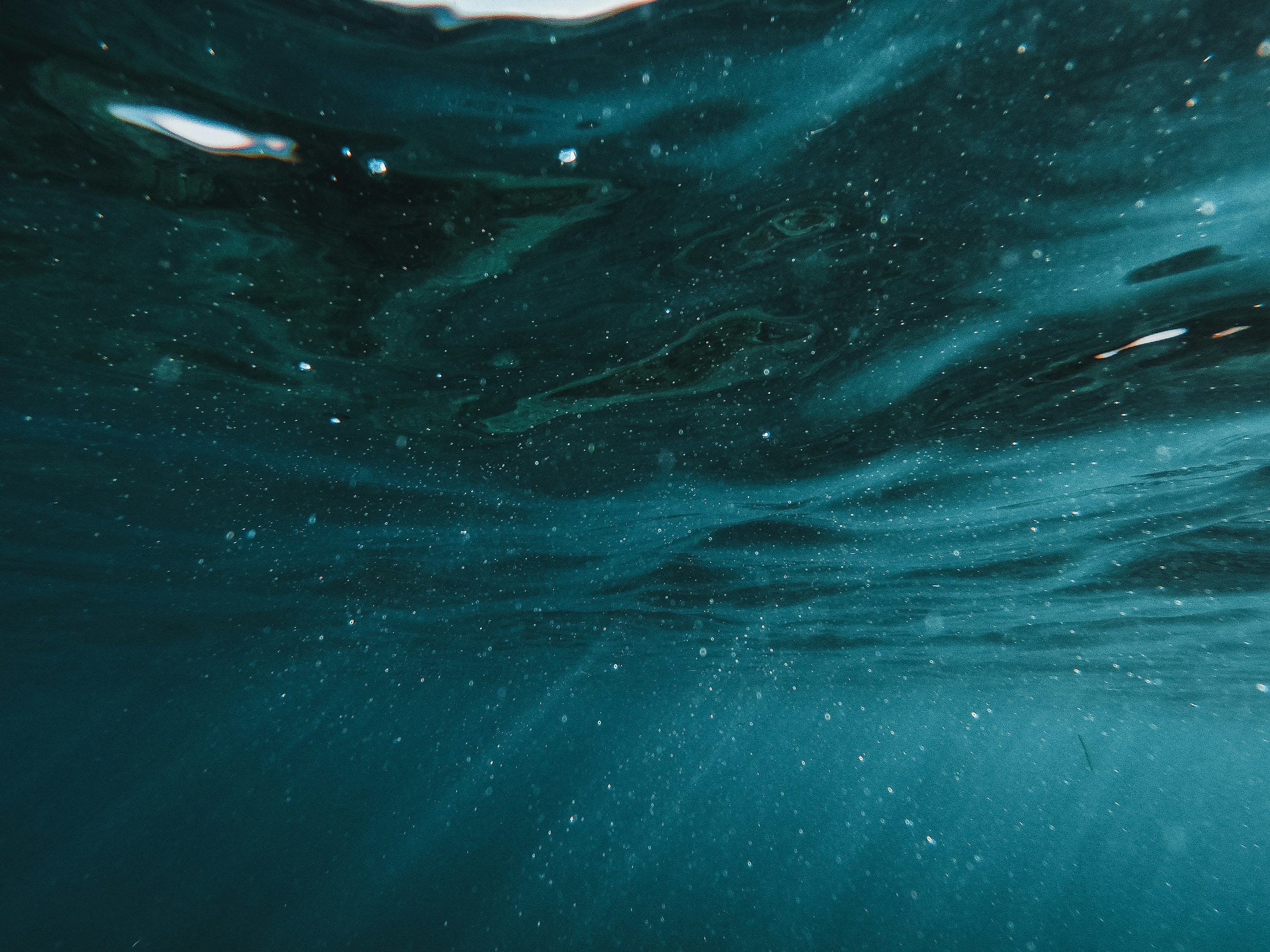 What Happens When We Stop Gazing at the Stars and Gaze Into the Sea-