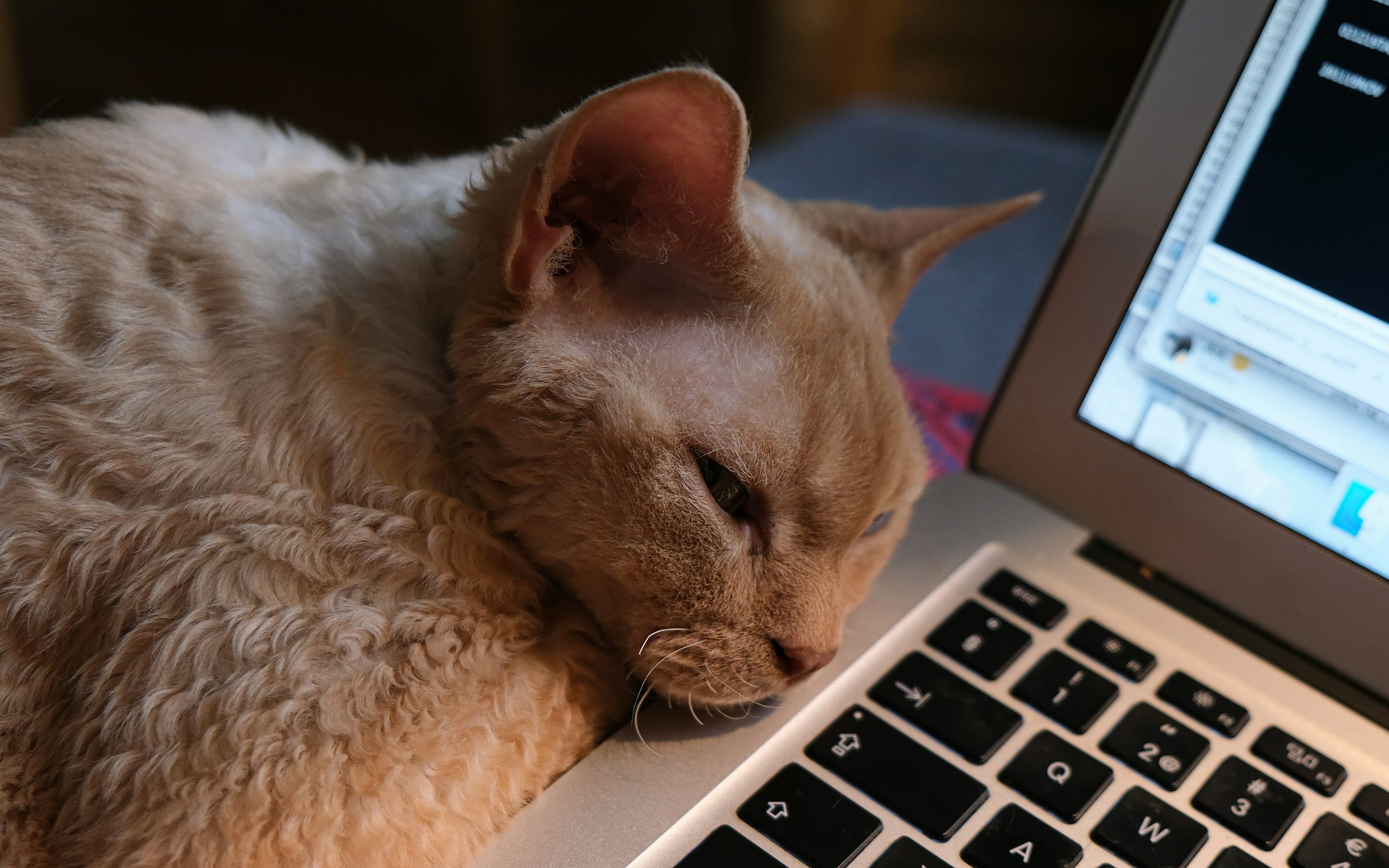 The Helen Protocol: How I Trained my AI to Work While I Sleep