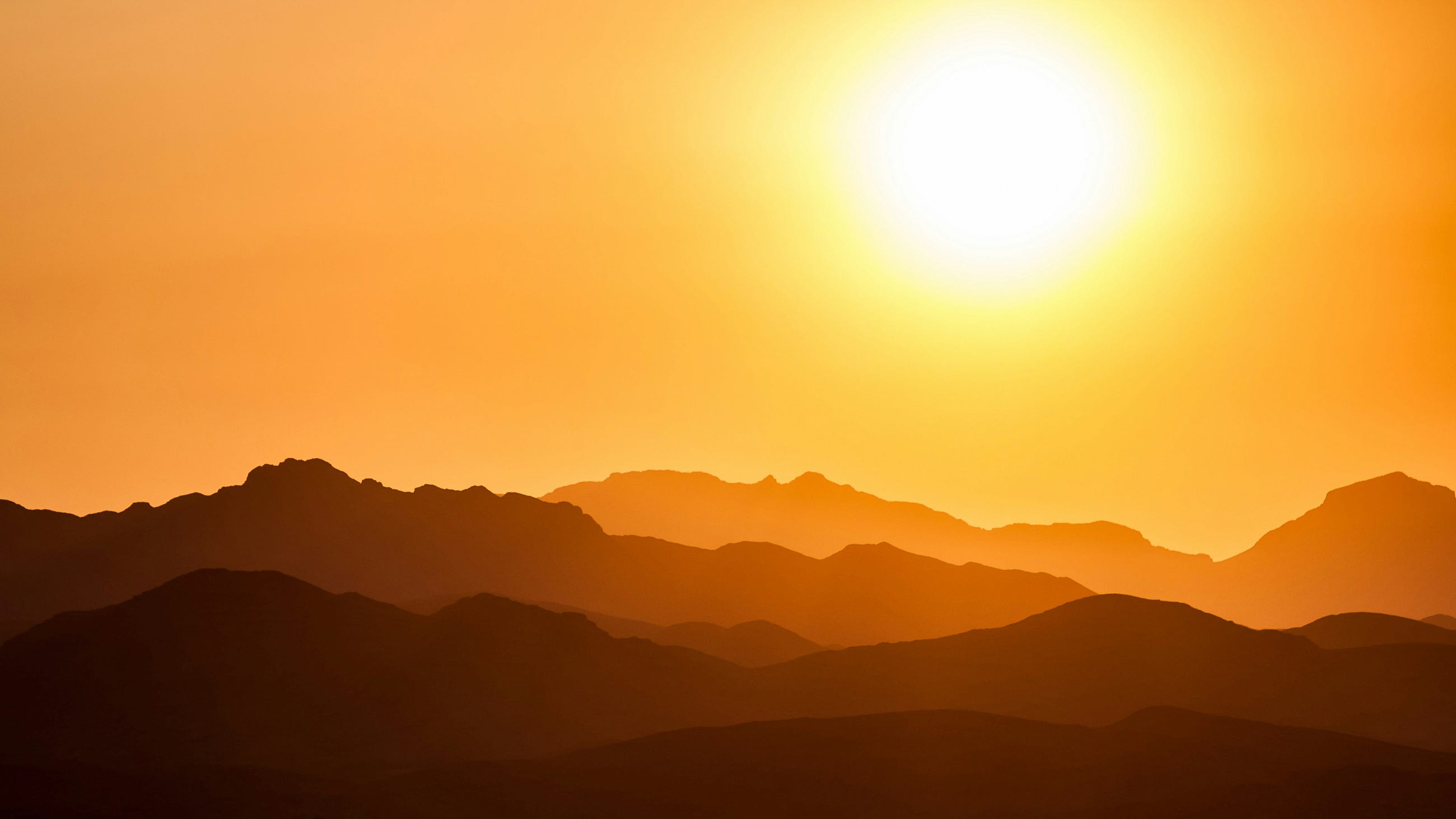 Is the Sun Whispering Secrets of Life- Plasma Dust and the Cosmic Womb
