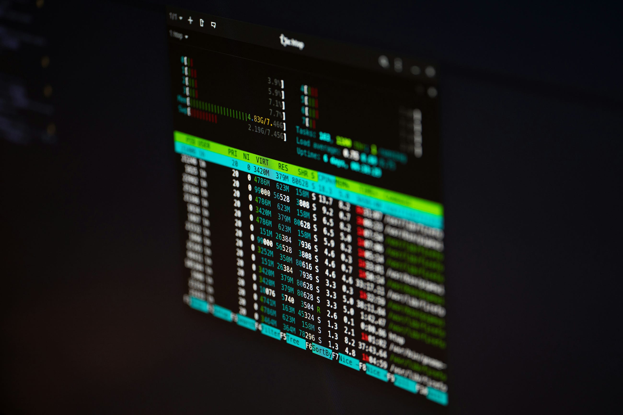 How to Install Postman on Linux