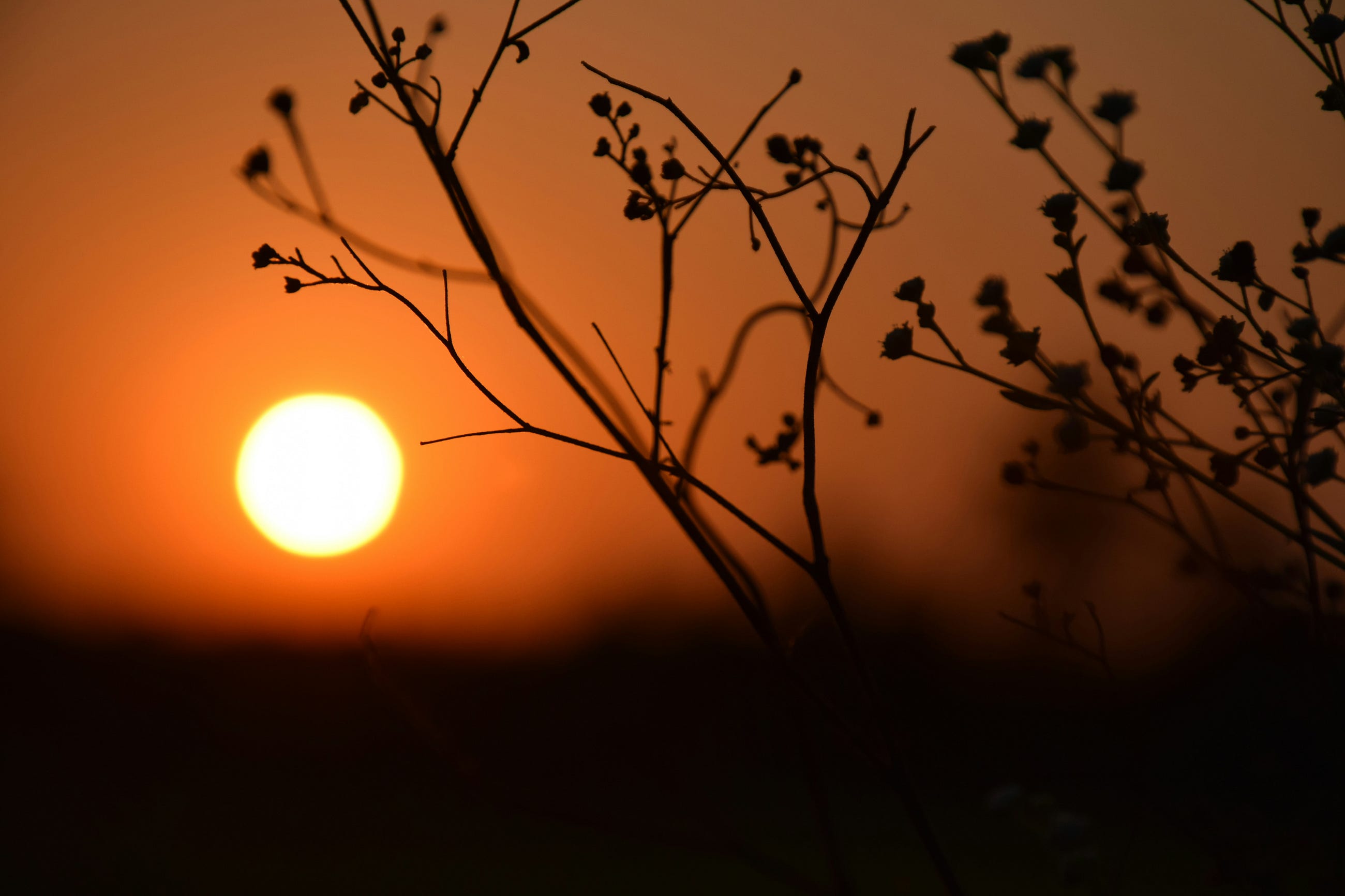 Did You Know…A Time Before the Sun Existed