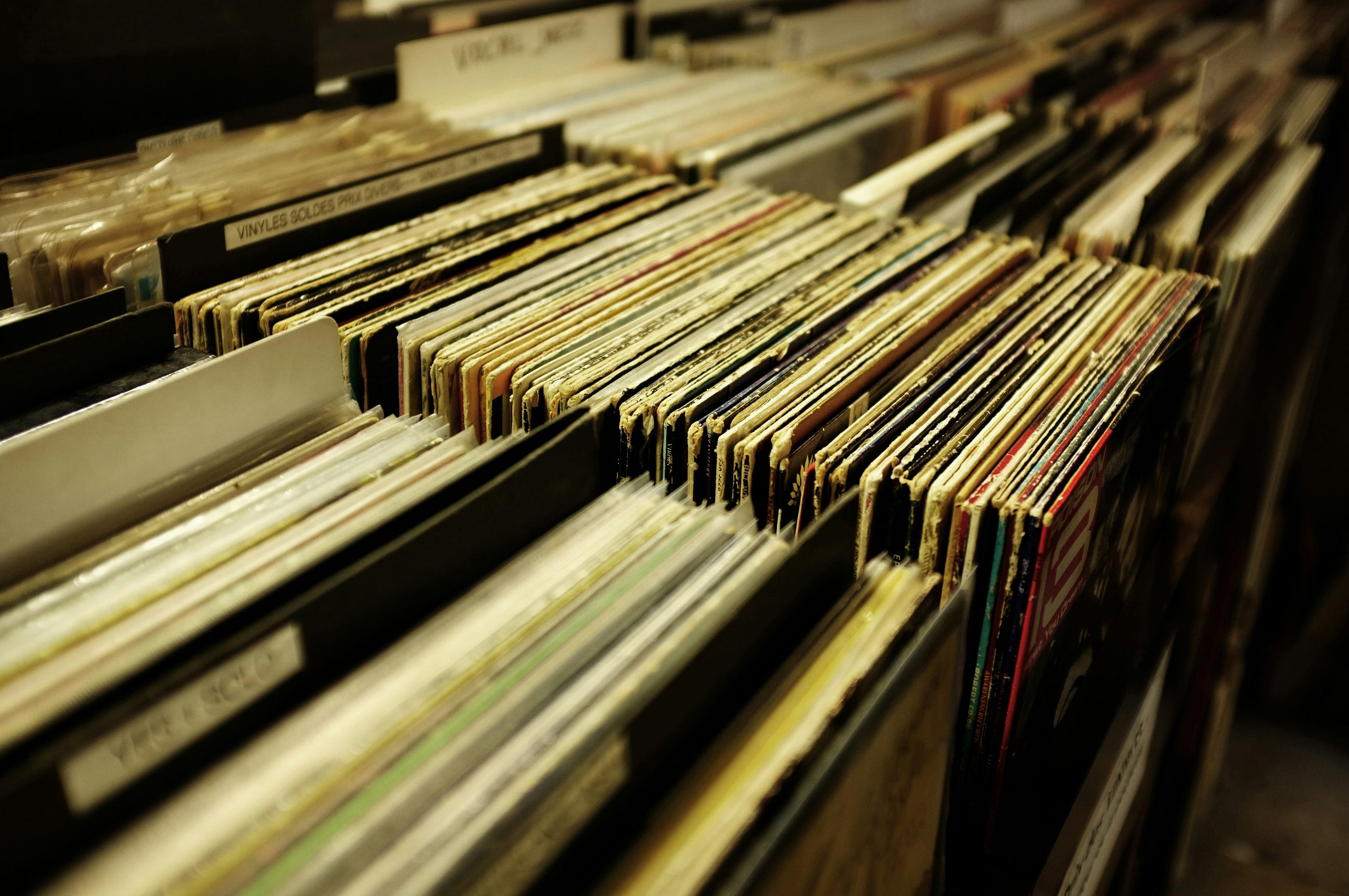 Mastering File System Navigation with Python’s os Module