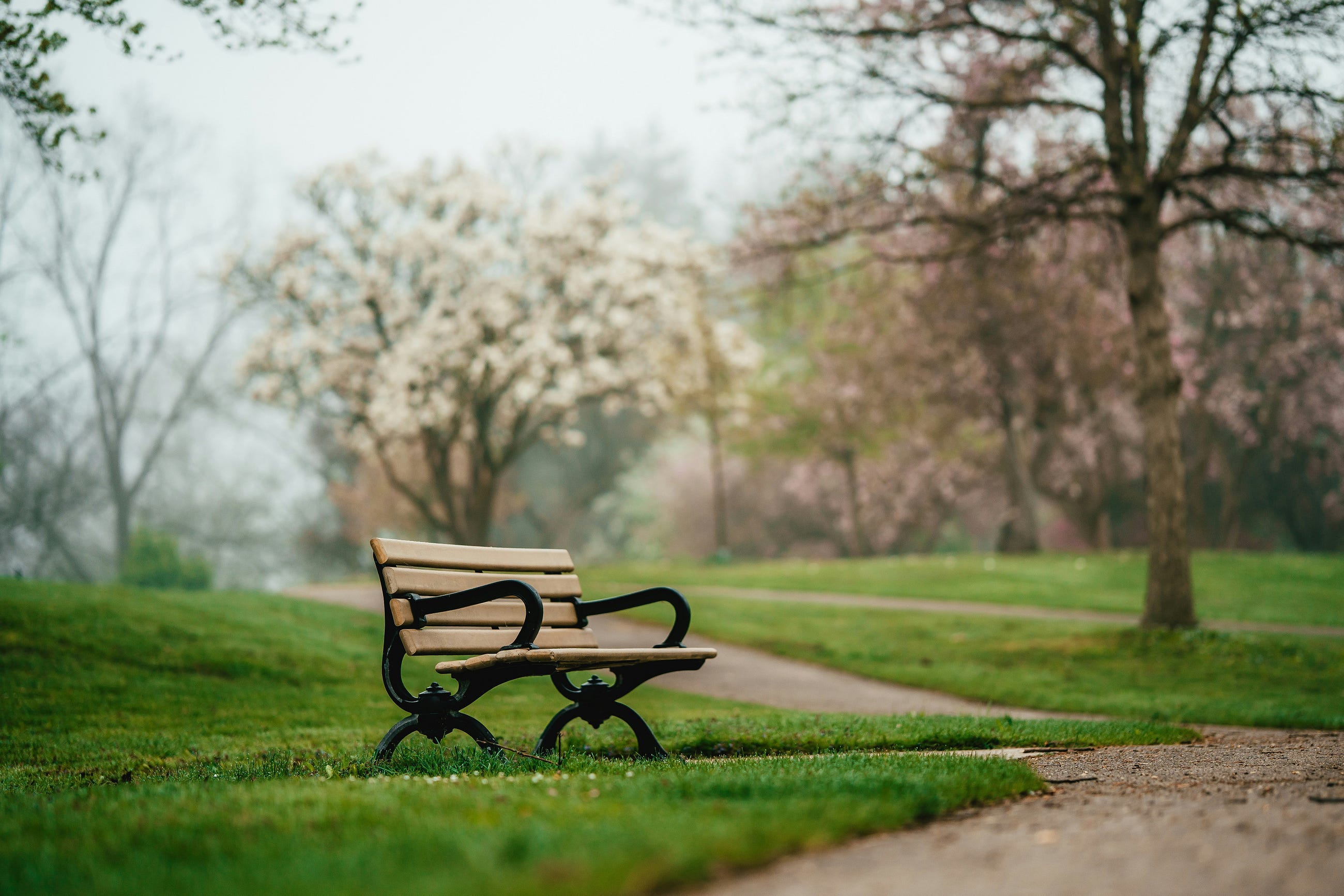 When Your Heart Needs Space to Breathe