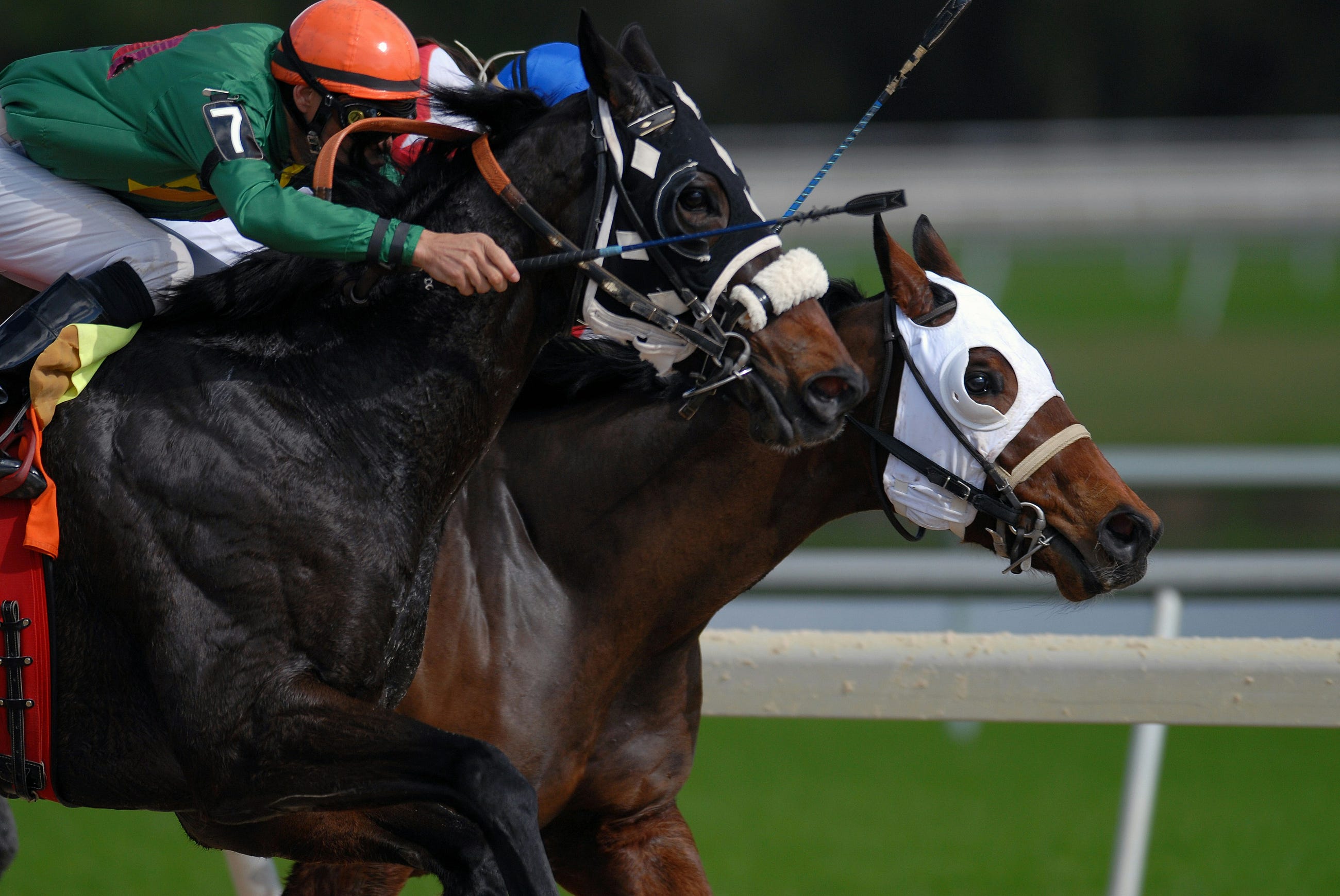 Why Taste Beats AI in Betting Markets