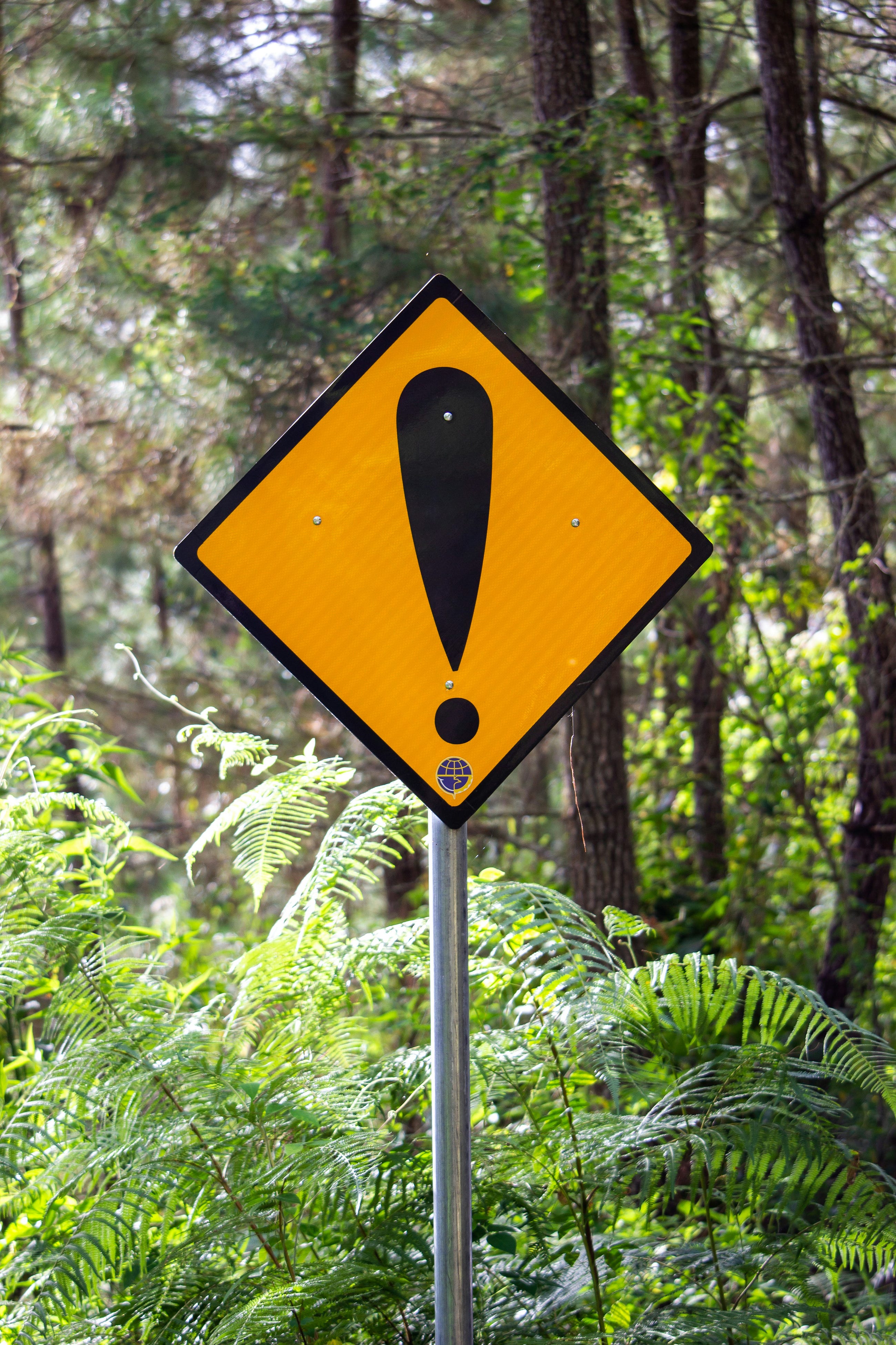 Attention is all you need