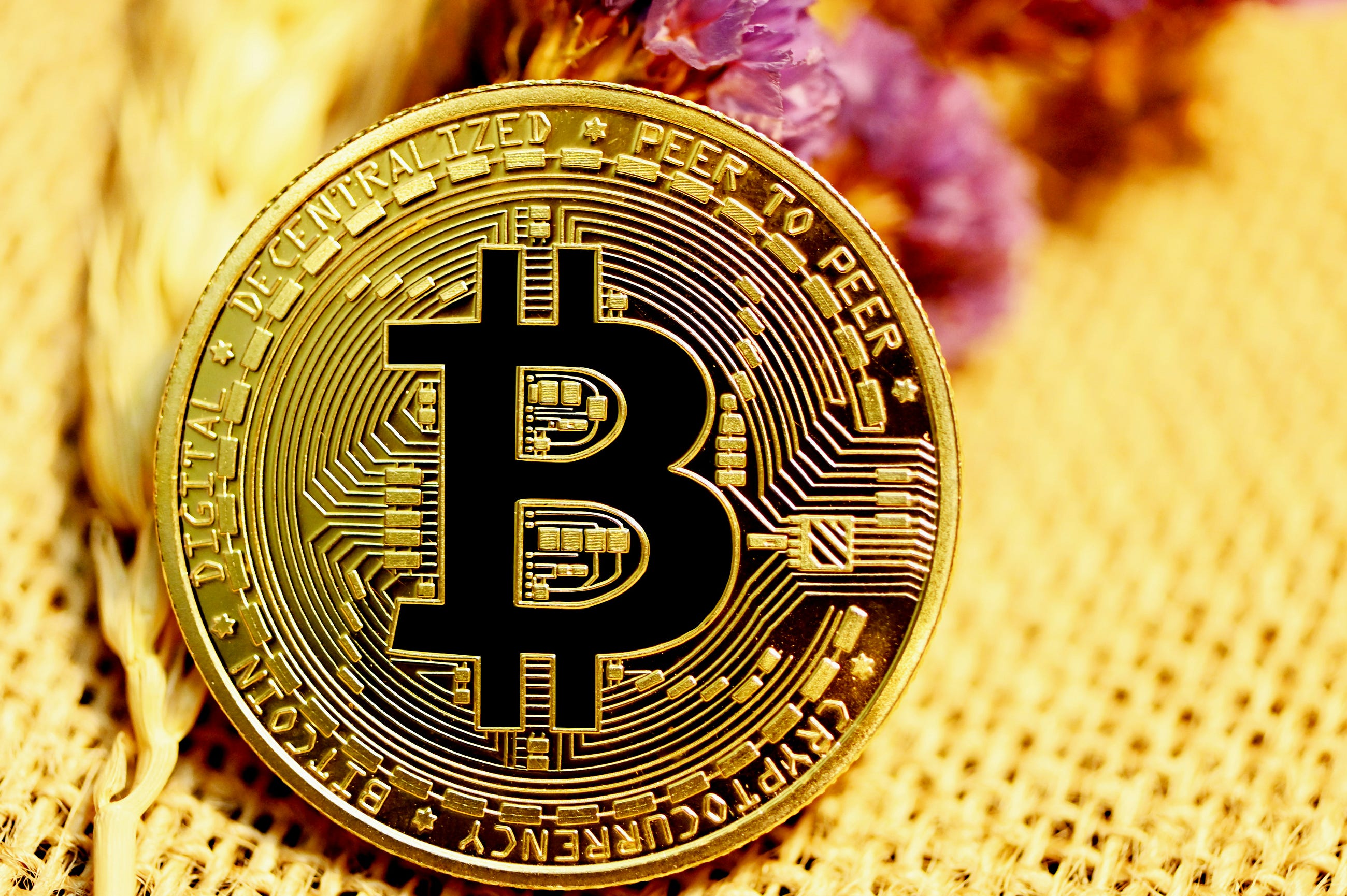 How Beginners Are Making Money With Crypto in 2026 (Even in a Volatile Market)