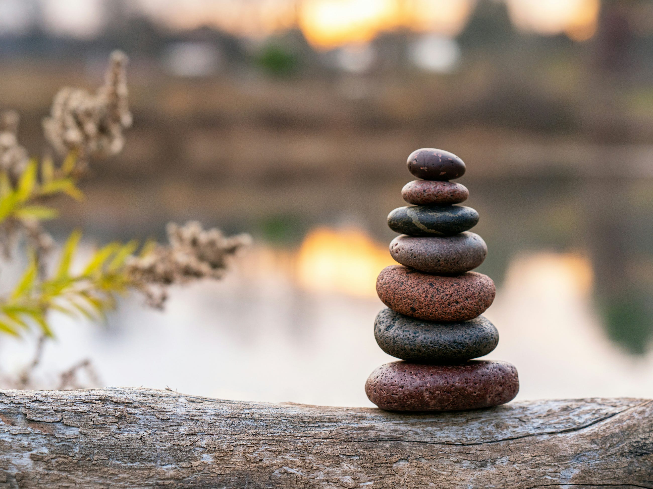 AI Safety as Cultivation: Yogacara, Seeds, and Reflective Self-Evolving Systems