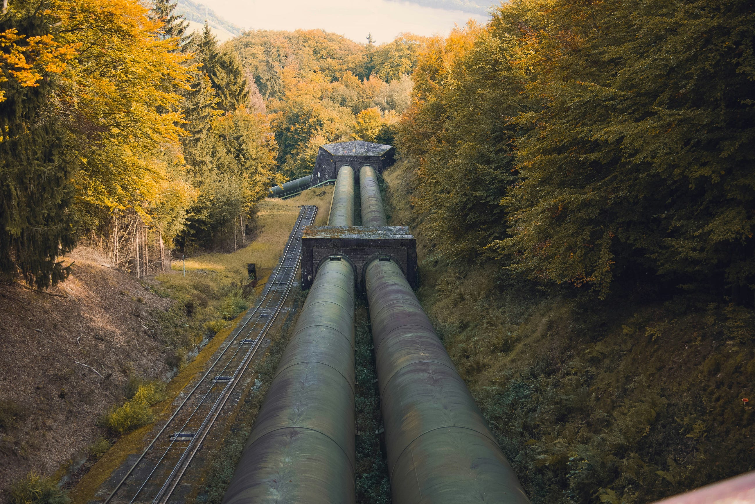 The Only Middleware Pipeline I Trust in .NET 10 (After 4 Incidents)