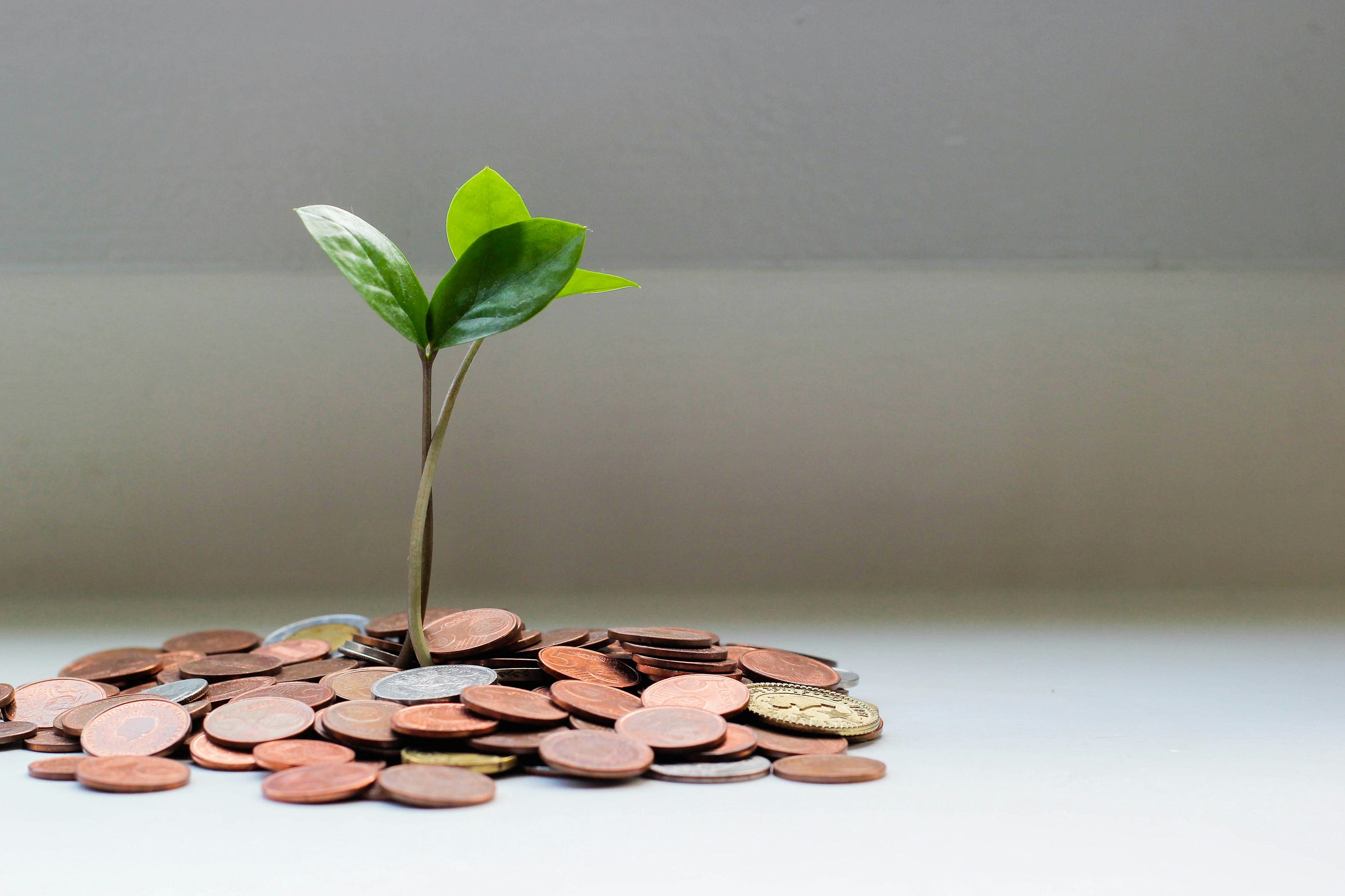 Q2 Crypto Surge: Top Coins That Could Double by Mid-2026