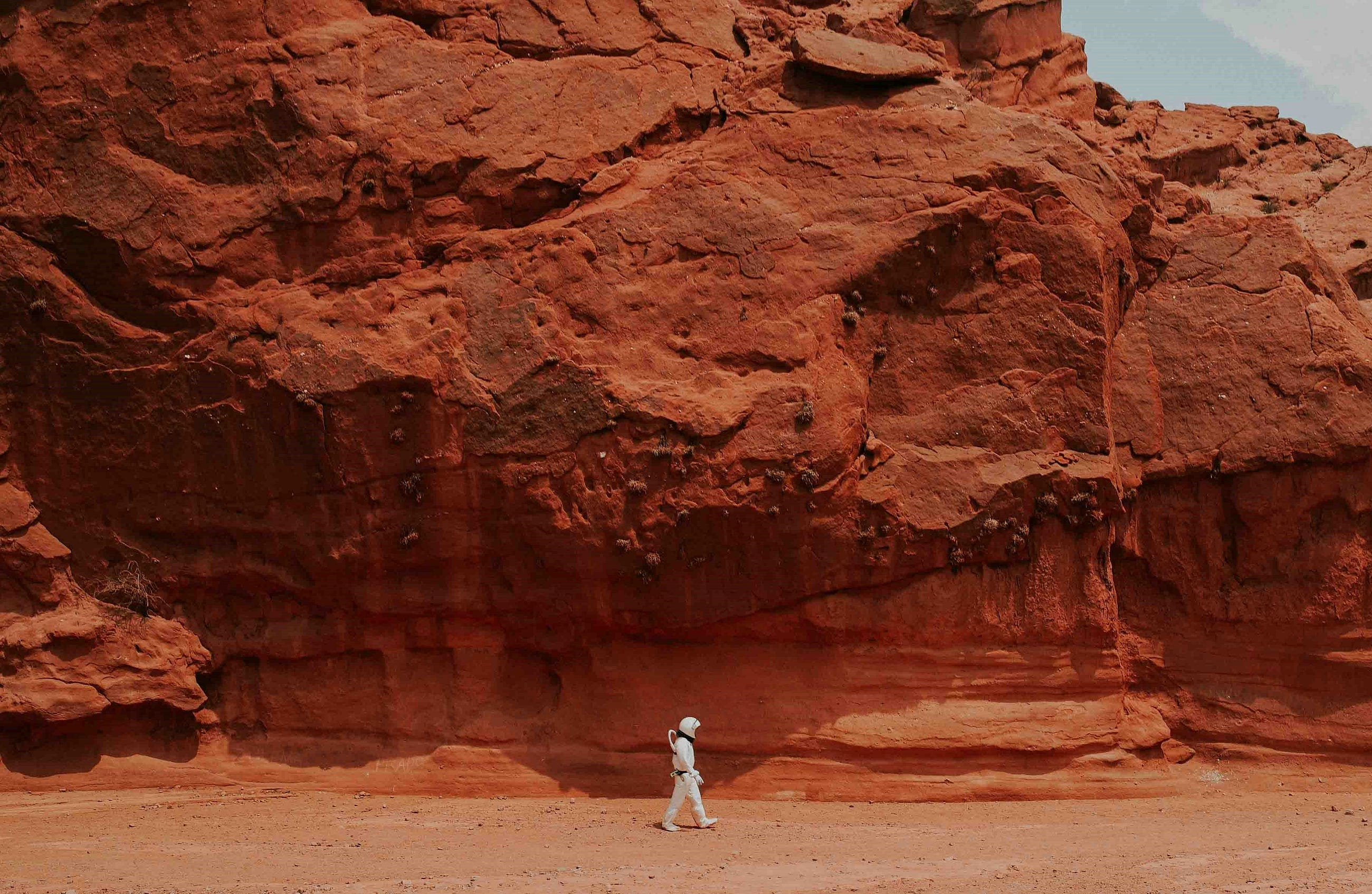 IS IT TIME TO BE A MARTIAN-