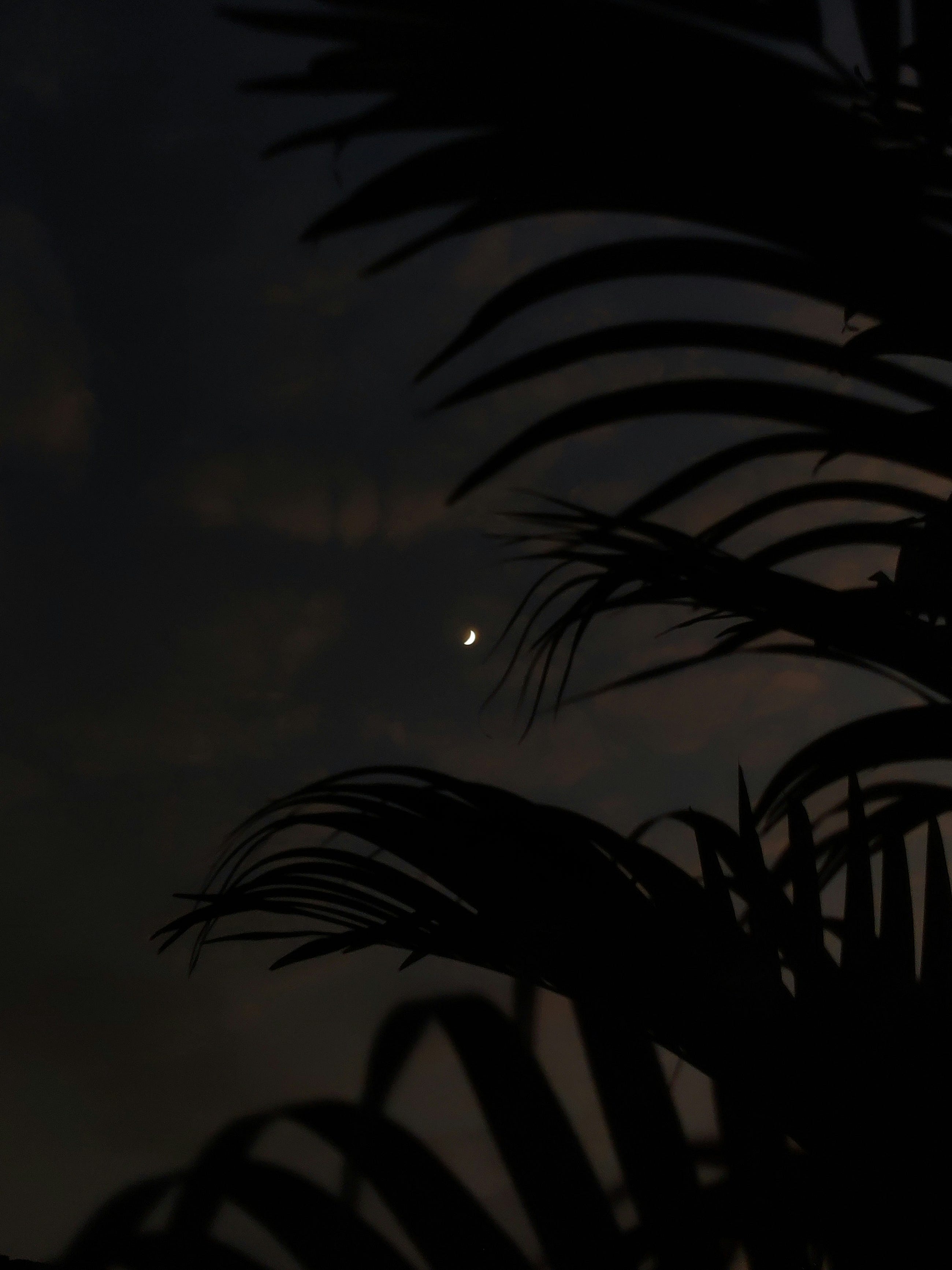 The Rare Black Moon of August 2025