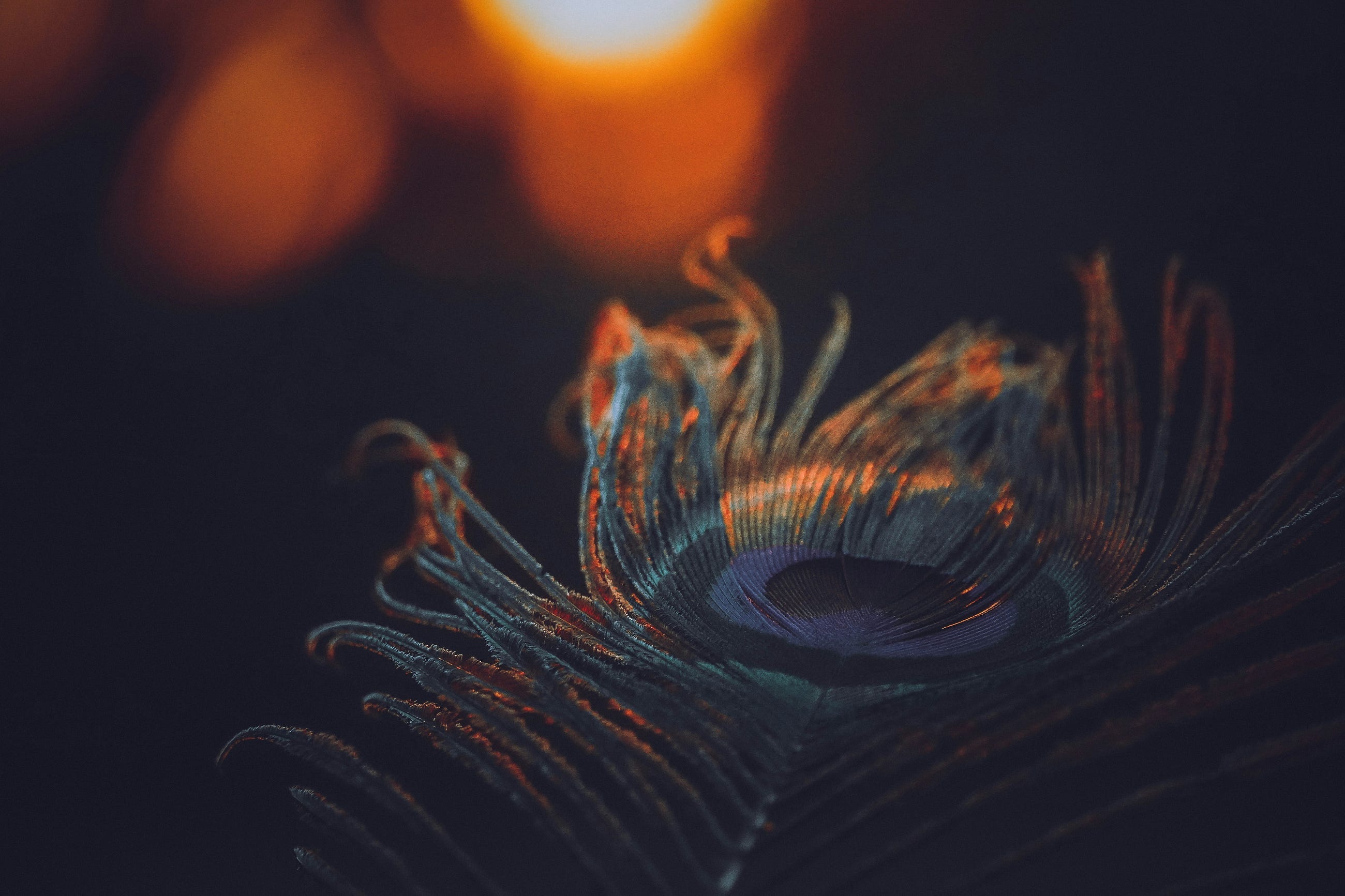 If Krishna Were Alive Today, He Would Not Preach Detachment