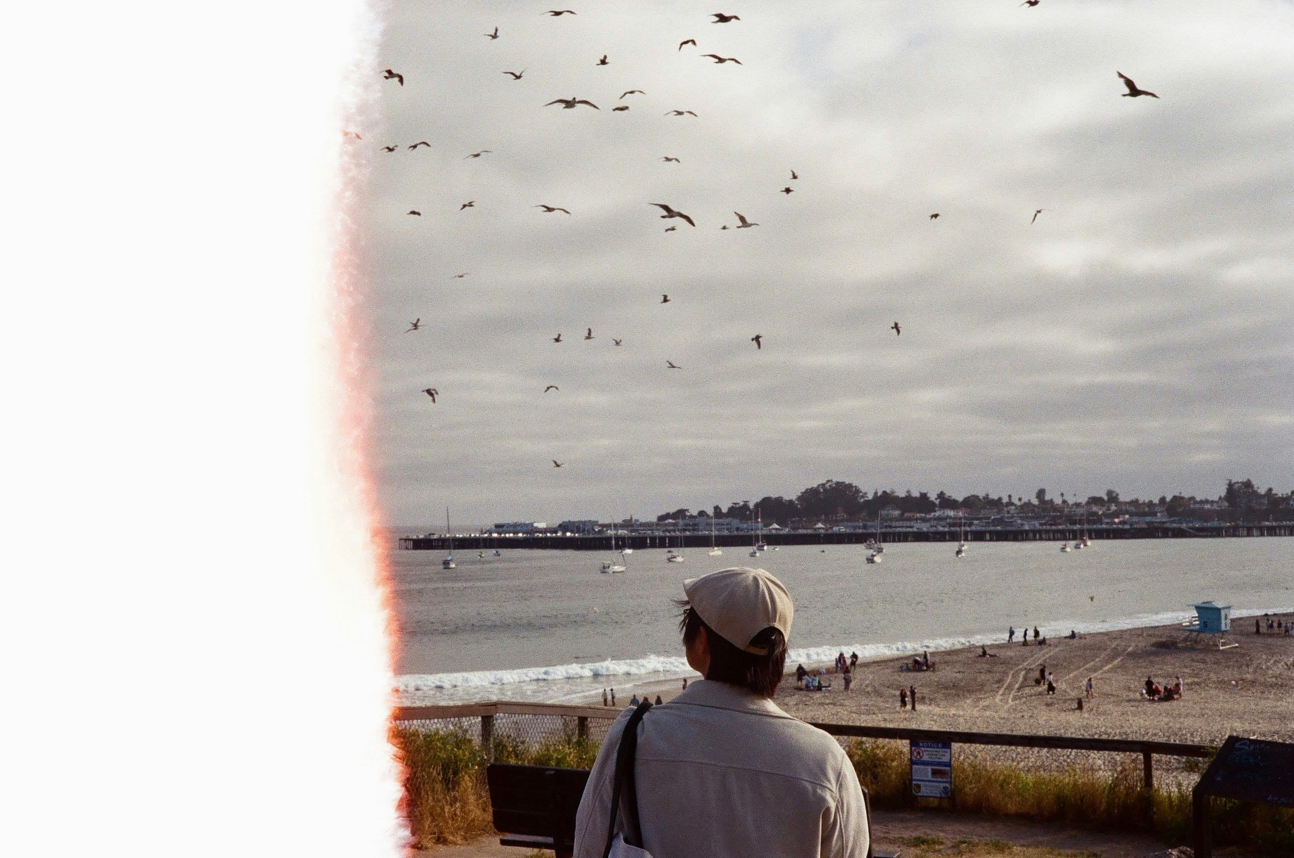 How to Truly Understand UX Design: Learning UX Through Real-Life Observation