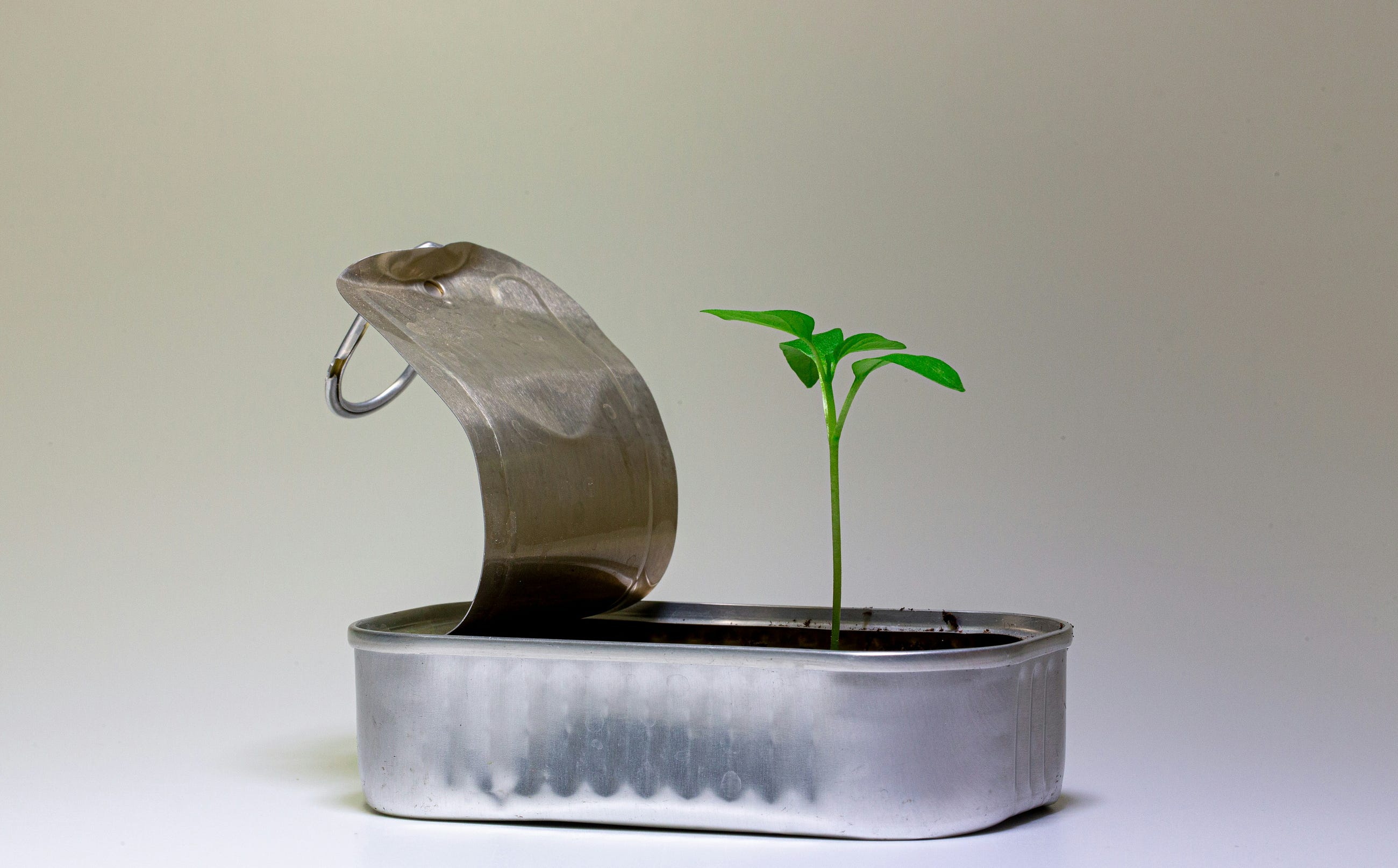The “Zero-Dollar” Startup Blueprint