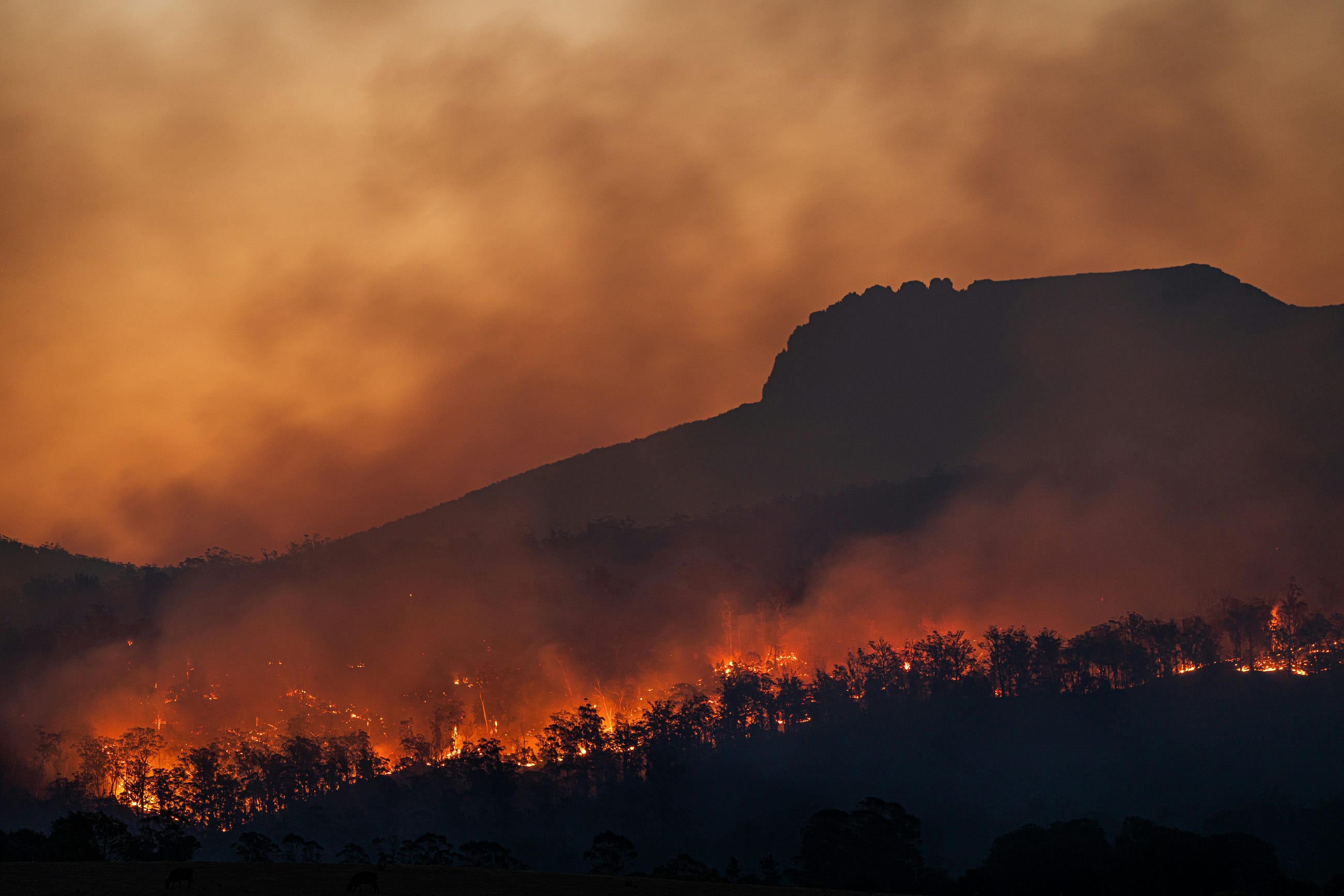 85% of U.S. Wildfires Are Caused by Humans — Here Is What 1.88 Million Fire Records Reveal
