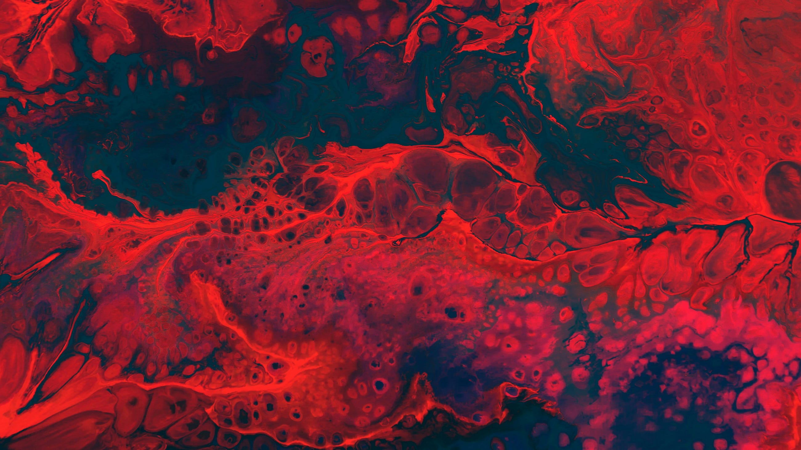 Benchmarking ML Methods for Cell-Type Classification in scRNA-Seq