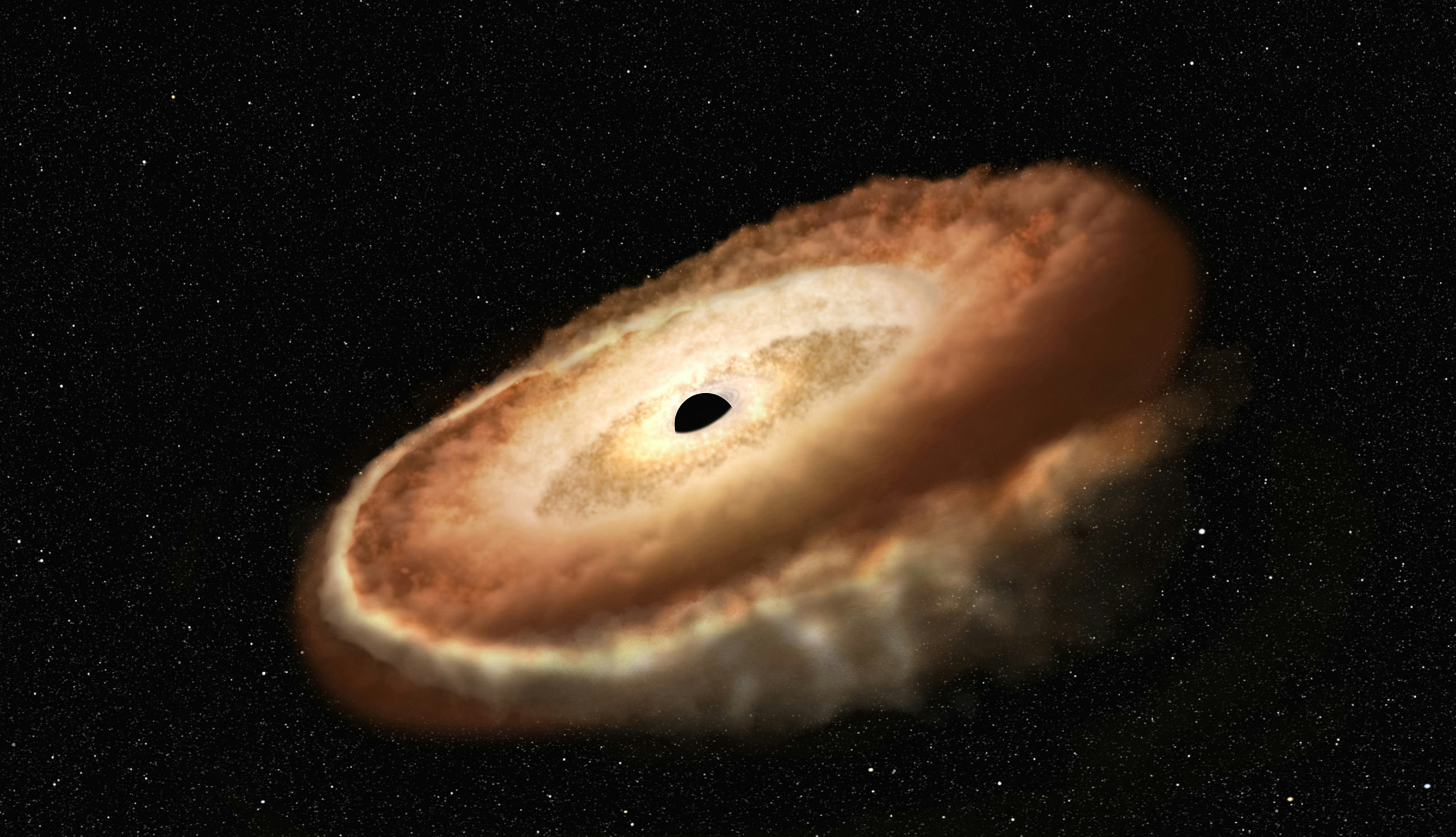 Black Holes Could Be the Universe’s Ark