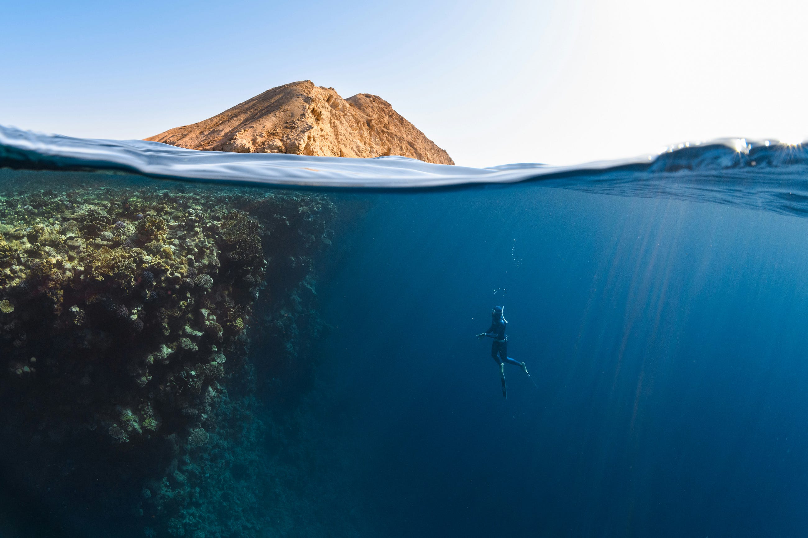 Deep Dive into .NET Hosted Services