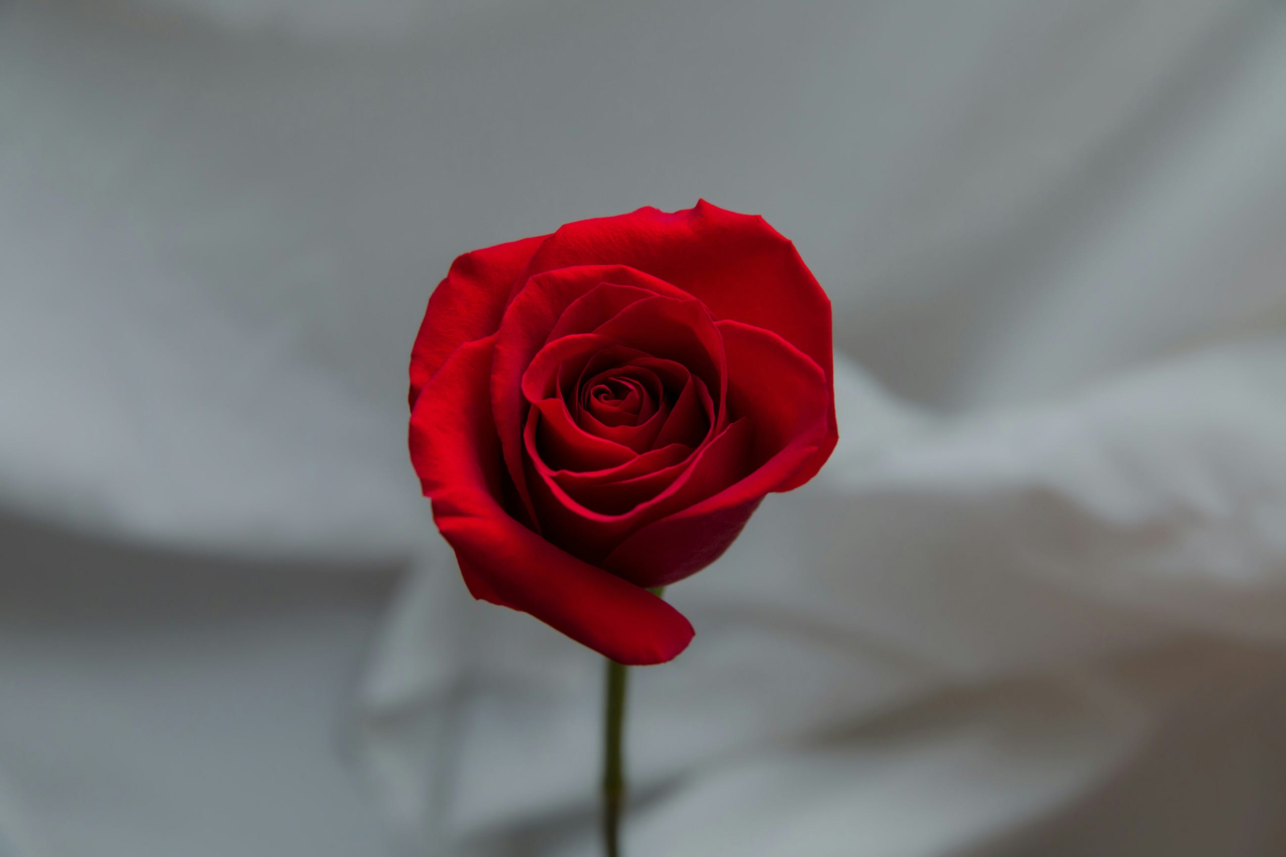 Why Men Grab You Closer When They Kiss You