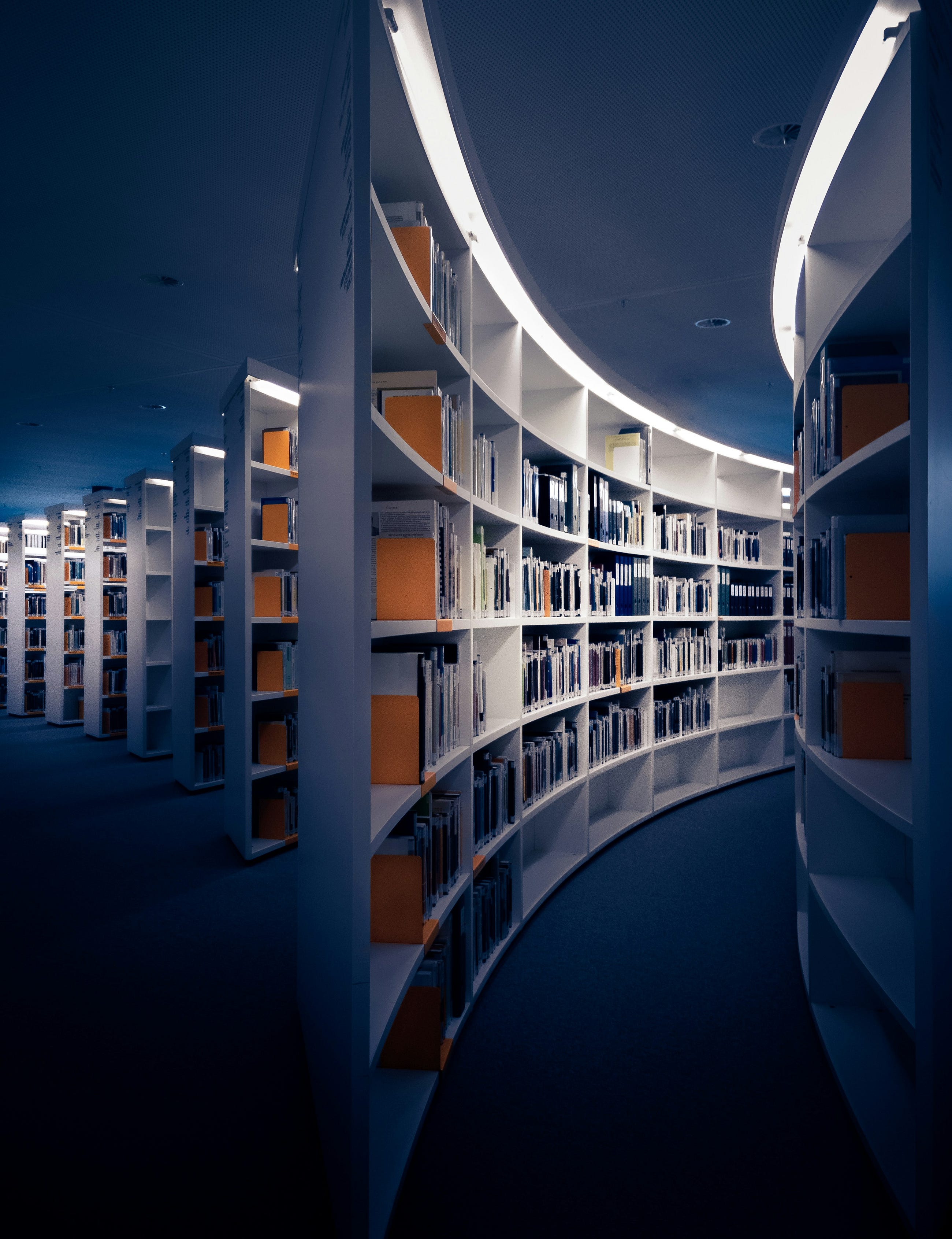 Why Lead Taxonomy Must Come Before Machine Learning: A Step-by-Step Analytics Guide