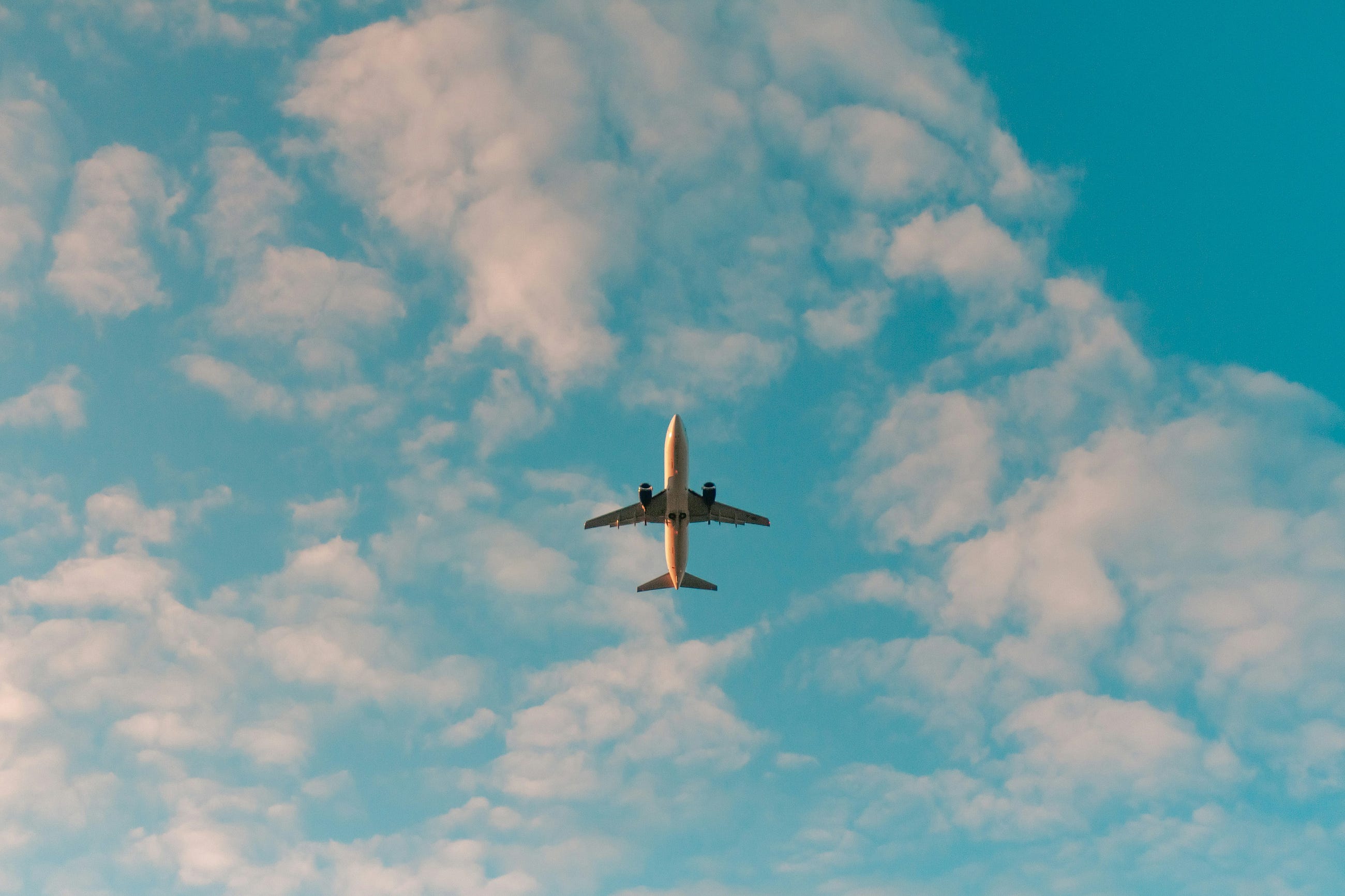 Why I Fly: Lessons from the Cockpit That Shape My Life and Work