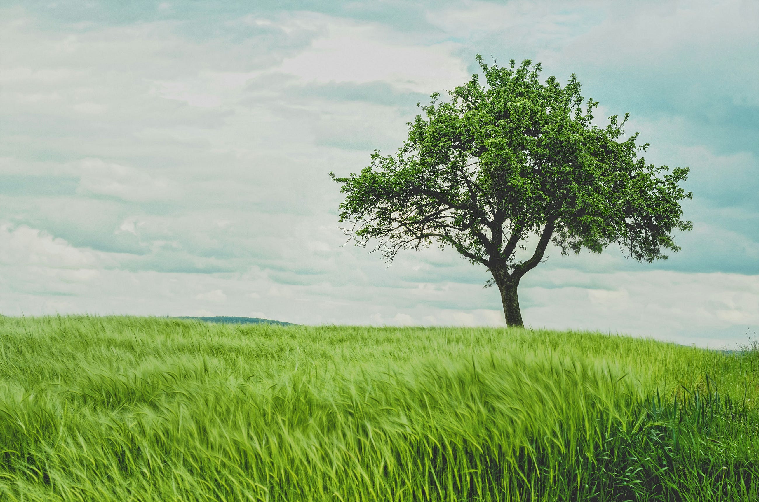 Binary Trees — Data Structures & Algorithms for Data Scientists